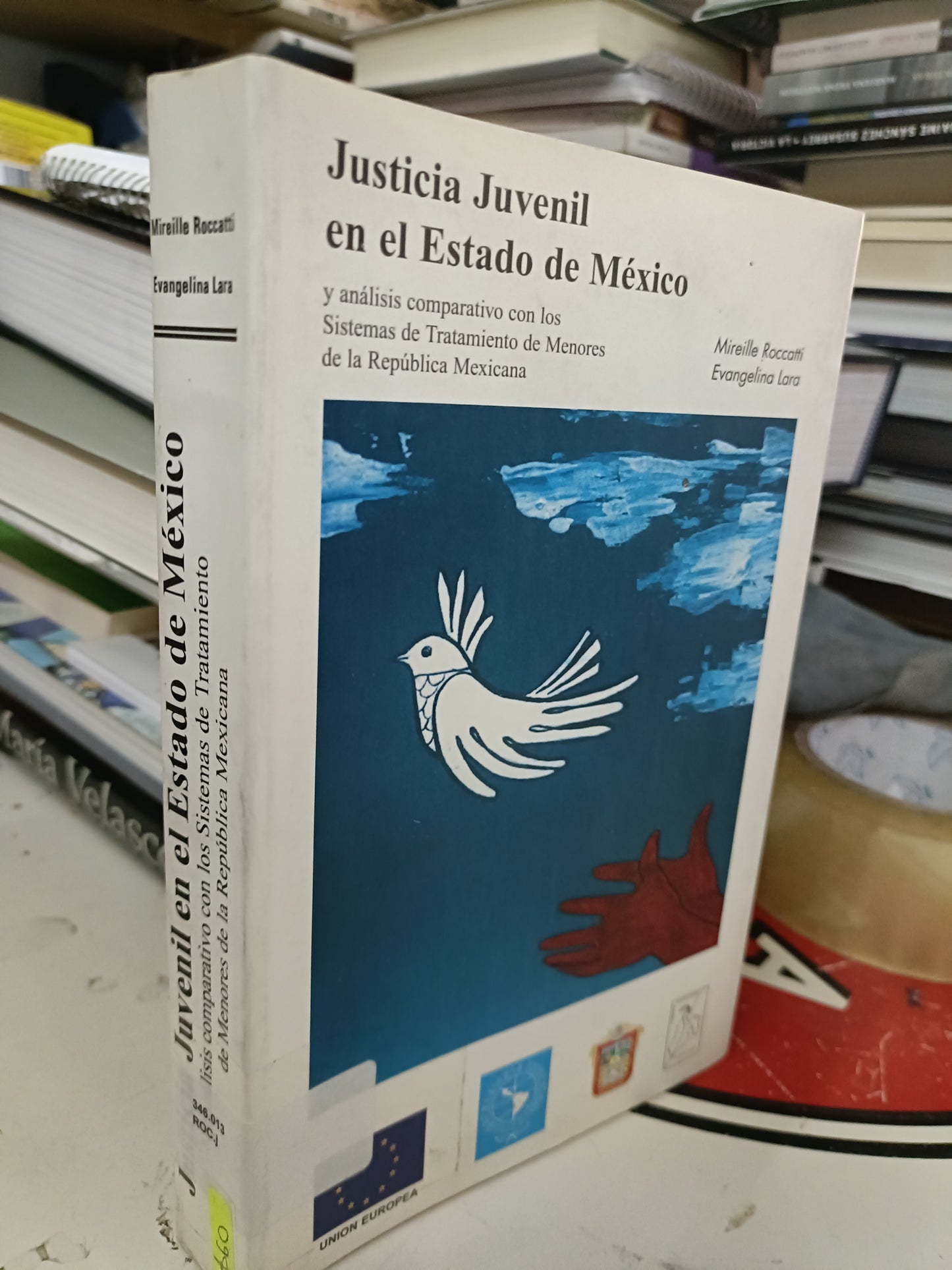 JUSTICIA JUVENIL EN EL ESTADO DE MÉXICO Y ANÁLISIS COMPARATIVO CON LOS SISTEMAS DE TRATAMIENTO DE MENORES DE LA REPÚBLICA MEXICANA POR MIRRILLE ROCCOTTI EVANGELINA LARA USADO POLÍTICA LITERARIO 207