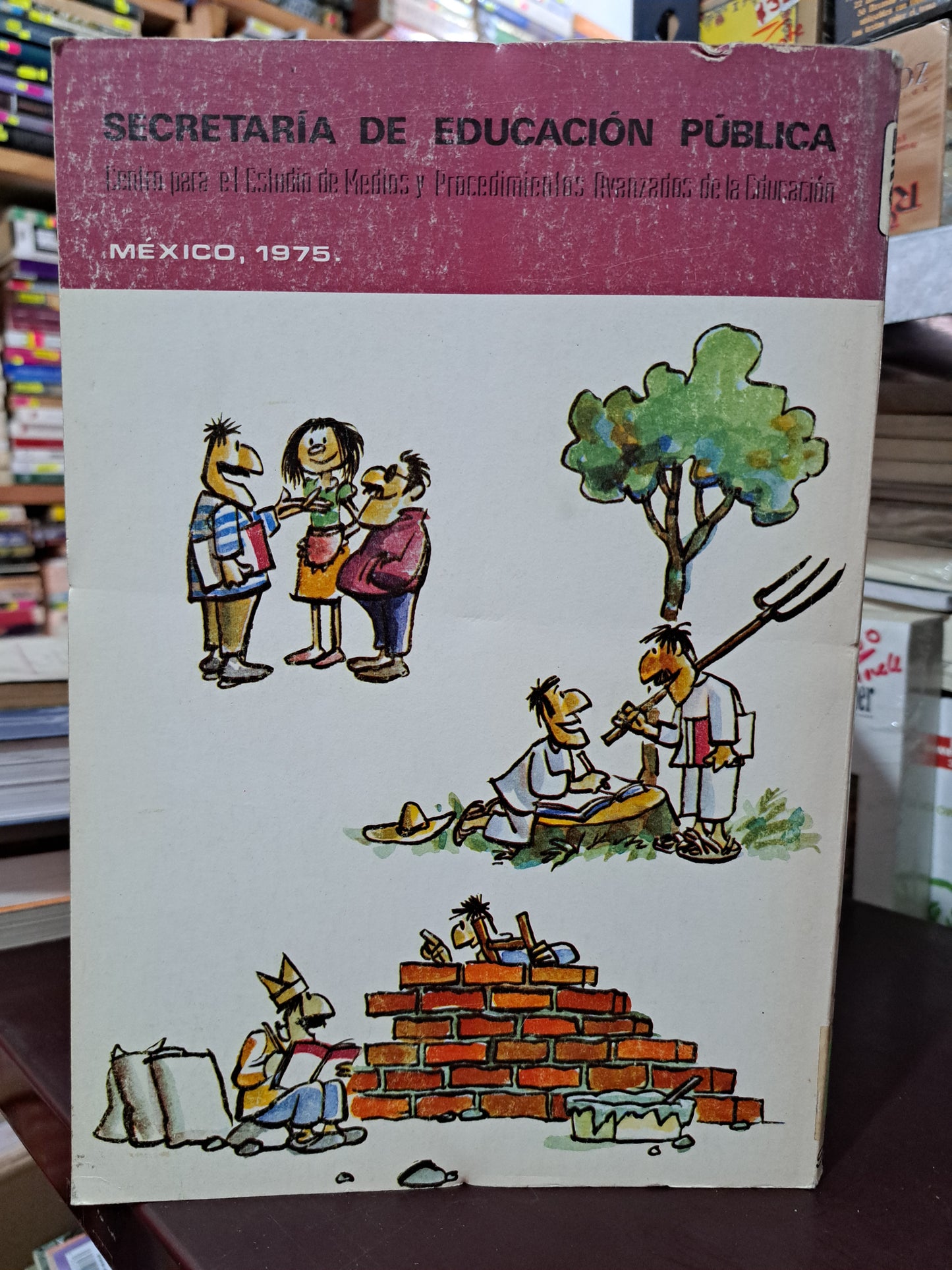 INTRODUCCIÓN CUADERNO DE TRABAJO USADO EDUCACIÓN LITERARIO 305.