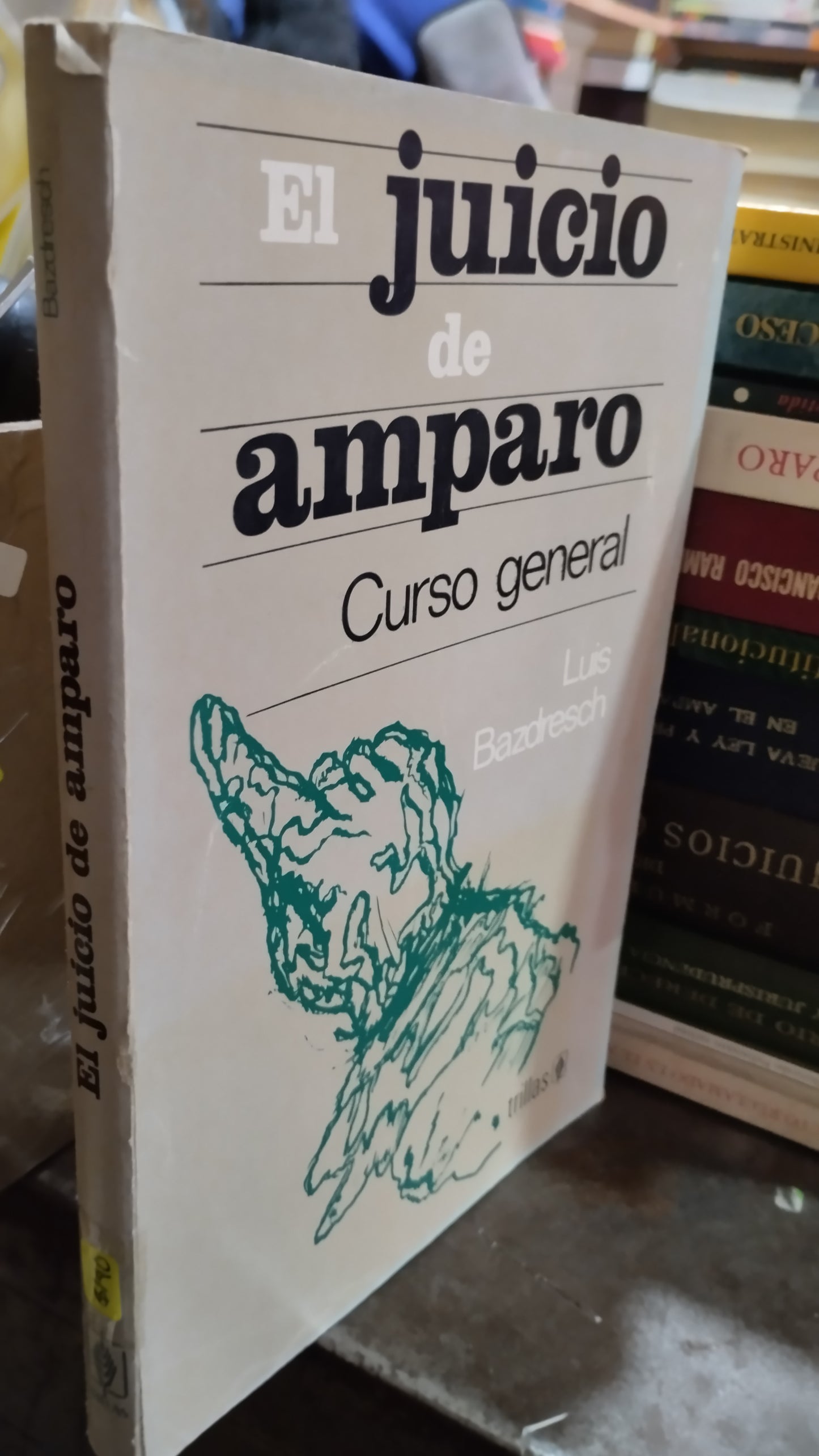 EL JUICIO DE AMPARO POR LUIS BAZDRESCH LIBRO USADO DERECHO ALDAMA