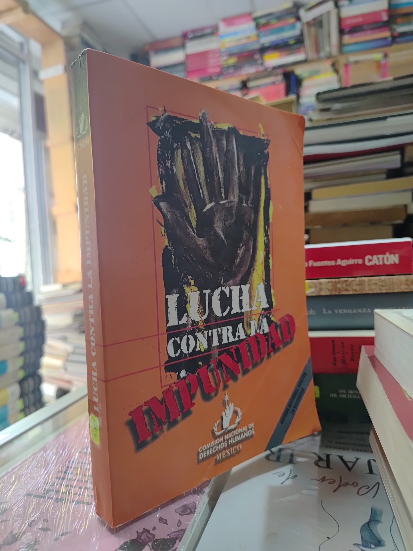 LUCHA CONTRA IMPUNIDAD POR LA CDNH USADO DERECHO JUAREZ 507