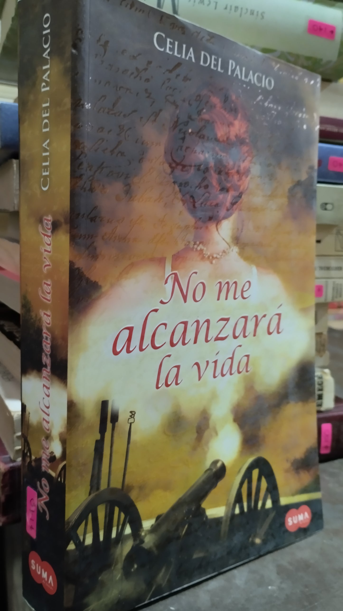 NO ME ALCANZARA LA VIDA POR CELIA DEL PALACIO LIBRO USADO NOVELAS ALDAMA