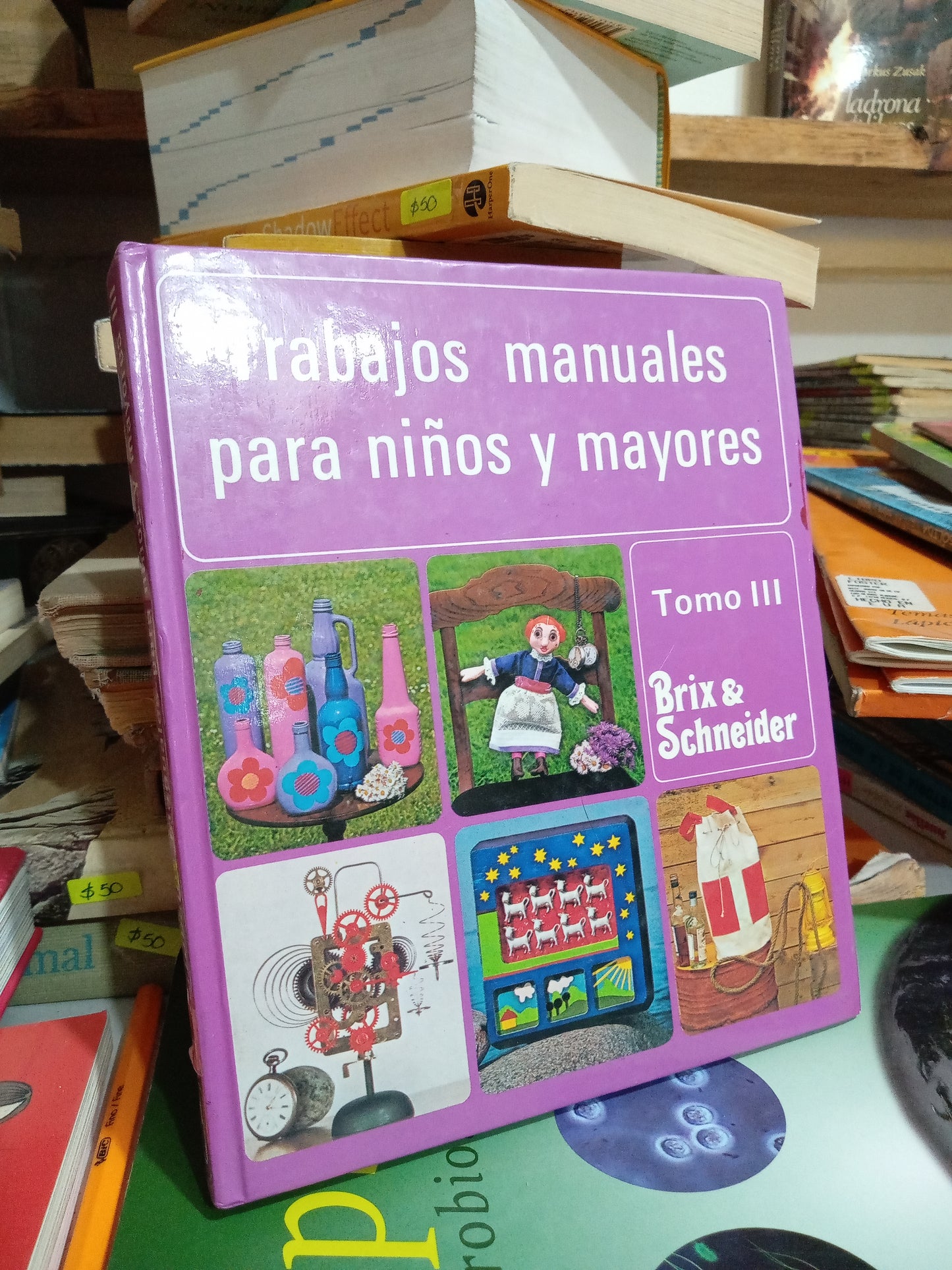 TRABAJOS MANUALES PARA NIÑOS Y MAYORES POR BRIX Y SCHNEIDER USADO INFANTIL JUAREZ