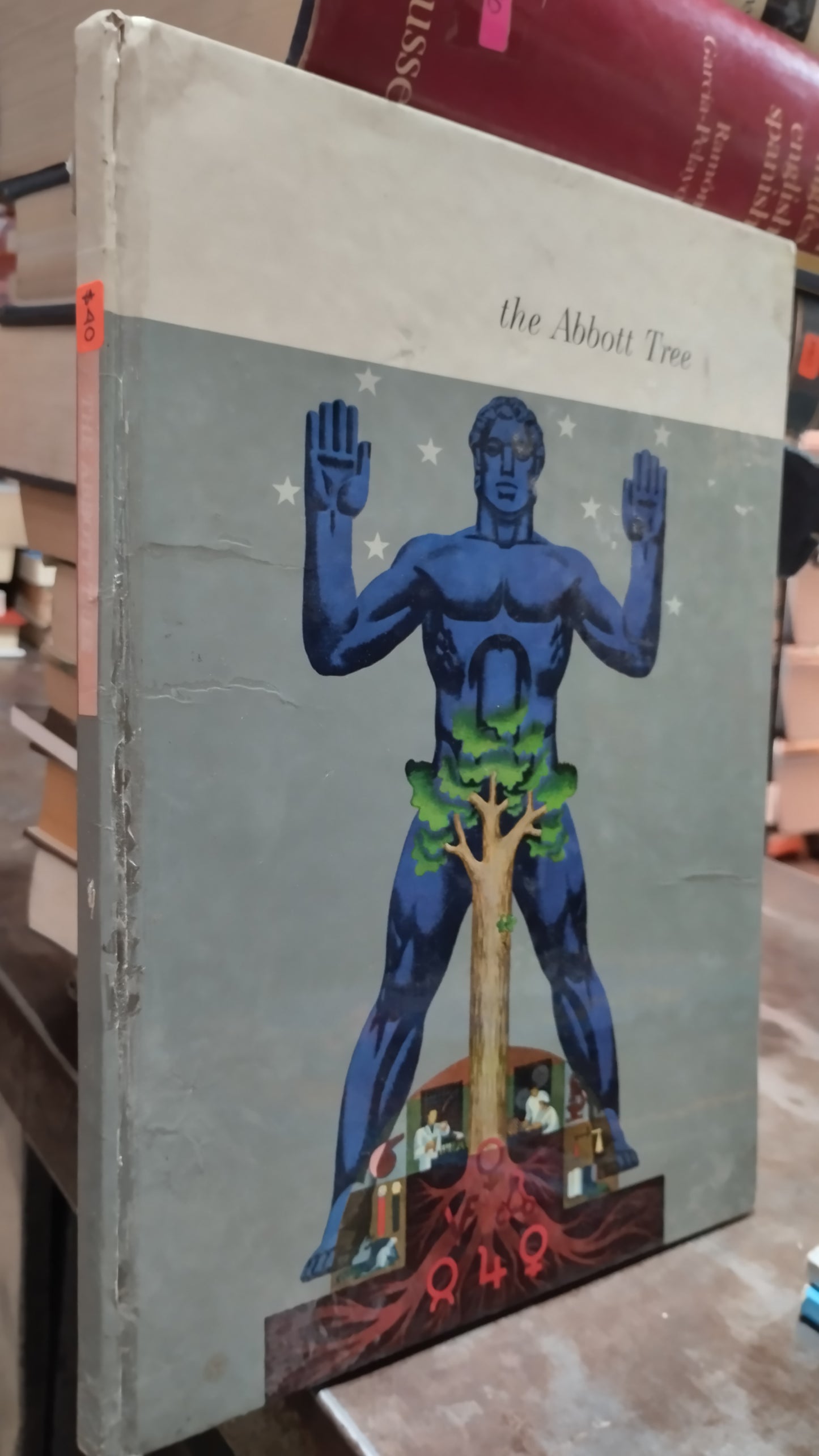 THE ABBOTT TREE LIBRO USADO IDIOMAS ALDAMA
