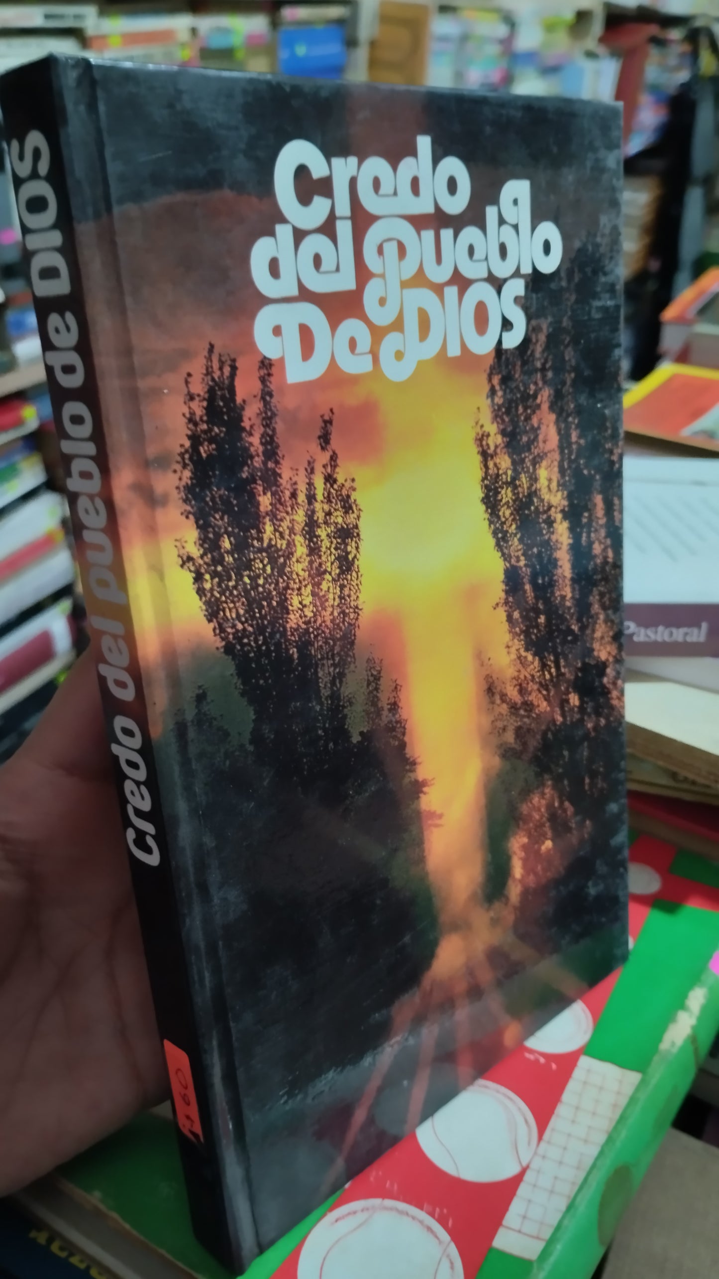 CREDO DEL PUEBLO DE DIOS POR J J CASTRO LIBRO USADO RELIGION ALDAMA
