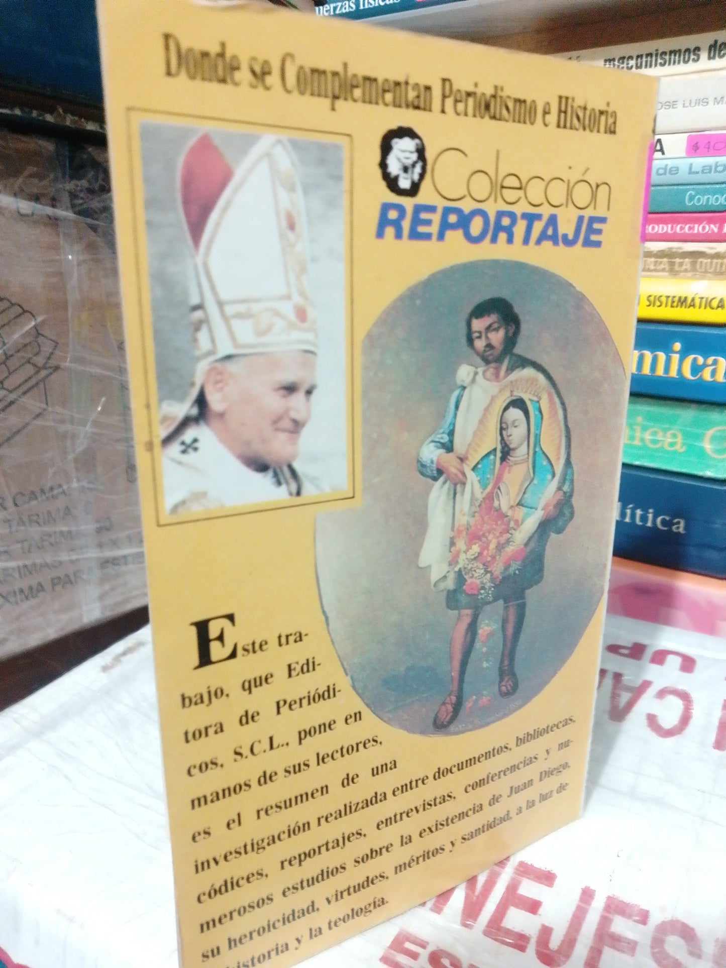 JUAN DIEGO A LOS ALTARES POR VÍCTOR HUGO ISLAS Y VIRGINIA A PÉREZ USADO NOVELA JUÁREZ