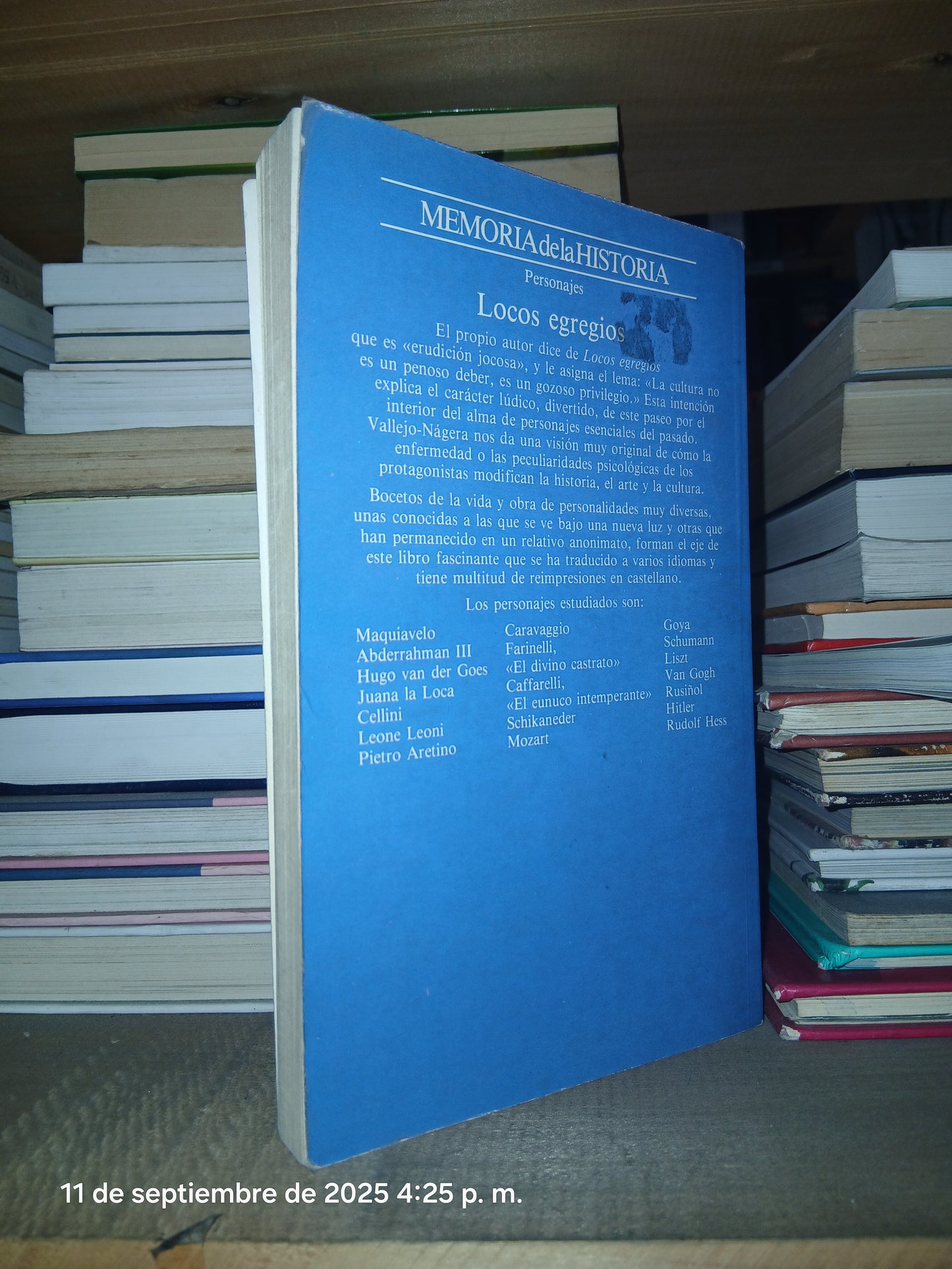 LOCOS EGREGIOS POR JUAN ANTONIO VALLEJO NÁGERA USADO NOVELA LITERARIO 207