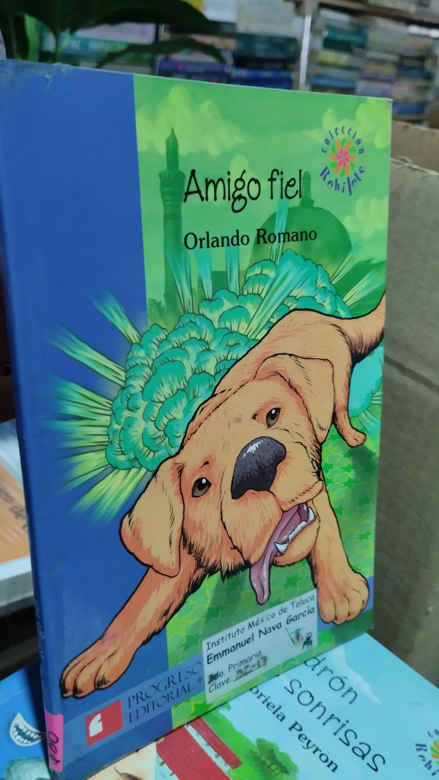 AMIGO FIEL POR ORLANDO ROMANO LIBRO USADO INFANTIL ALDAMA