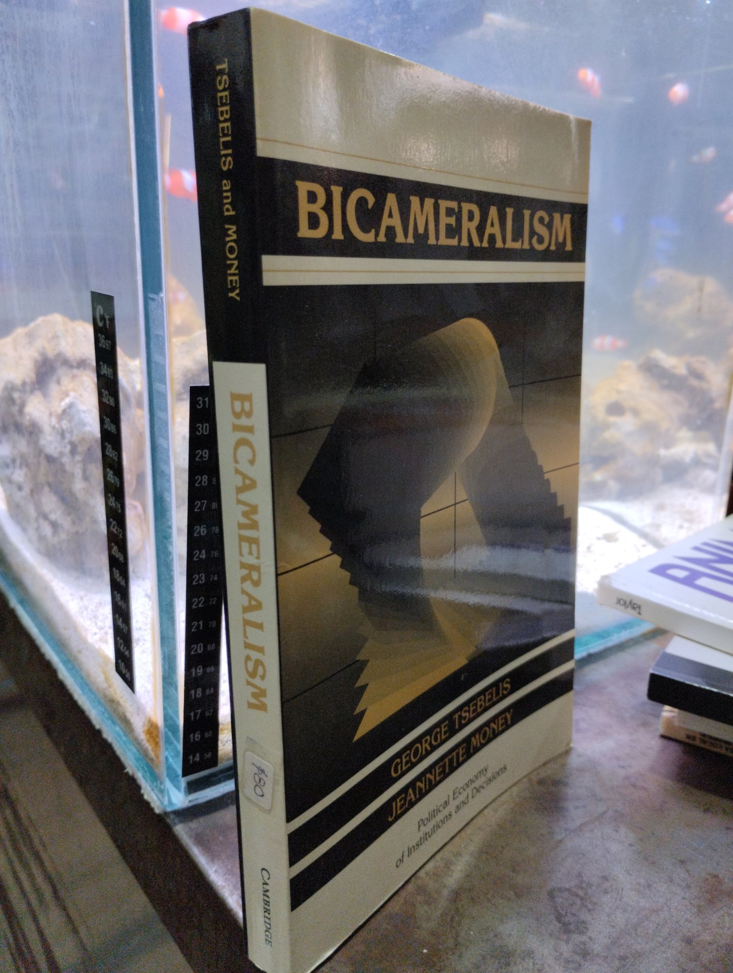 BICAMERALISM POR GEORGE TSEBELIS JRANNETTE MONEY USADO IDIOMAS ALDAMA