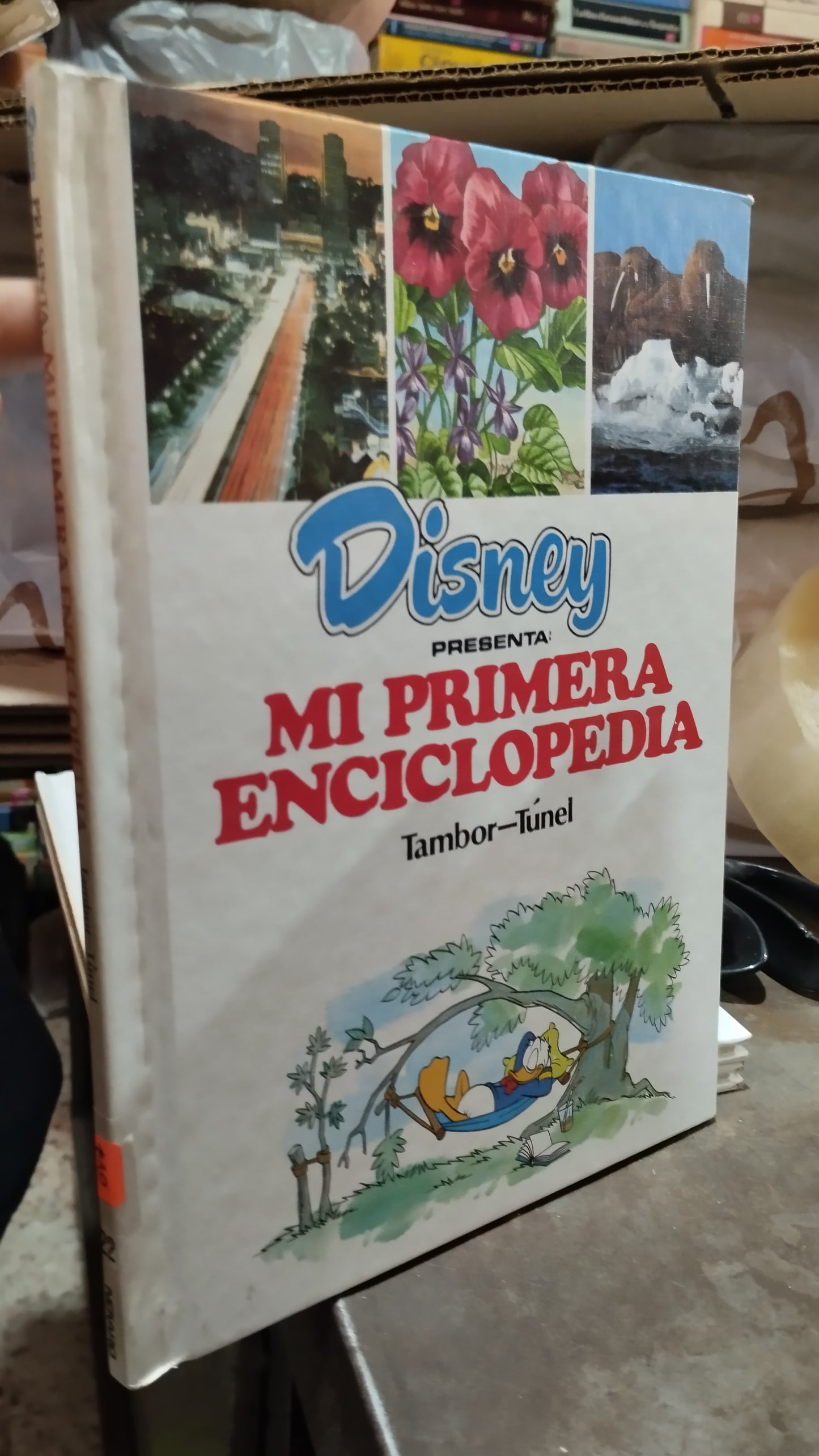 MI PRIMERA ENCICLOPEDIA TAMBOR TUNEL LIBRO USADO INFANTIL ALDAMA