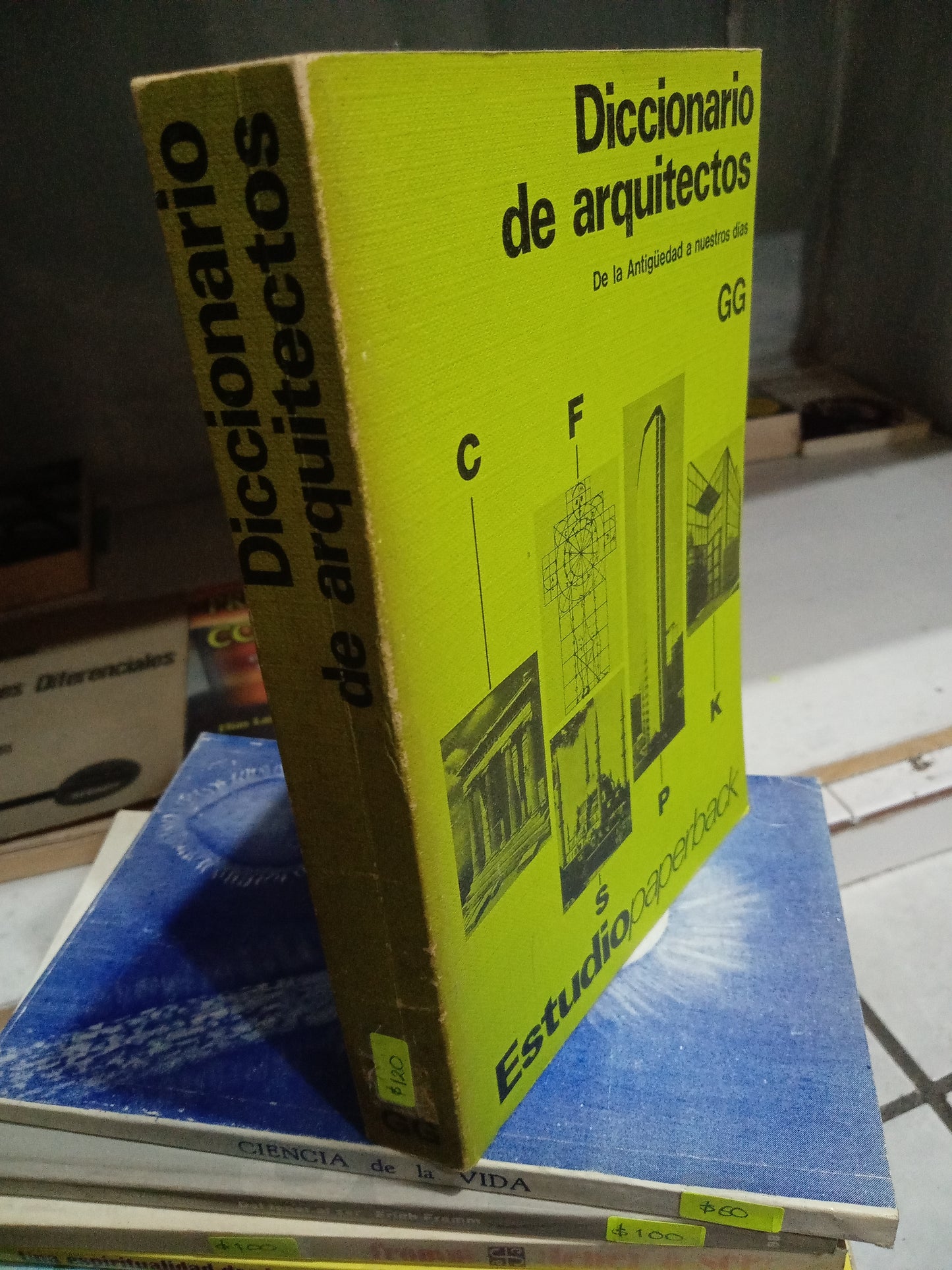 DICCIONARIO DE ARQUITECTOS USADO ARQUITECTURA JUAREZ