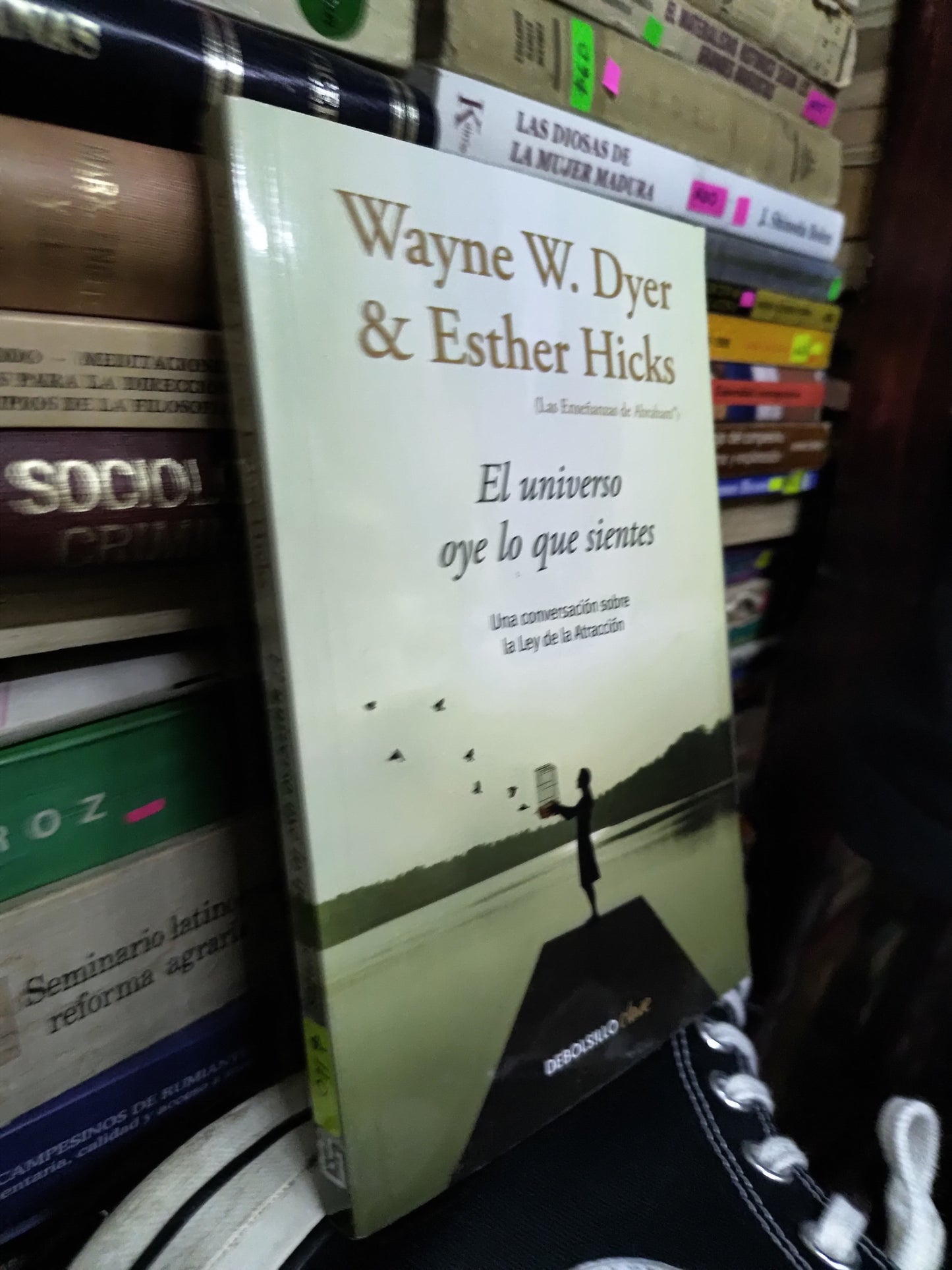 EL UNIVERSO OYE LO QUE SIENTEA POR WAYNE W. DYER USADO SUP PERSONAL LITERARIO 207