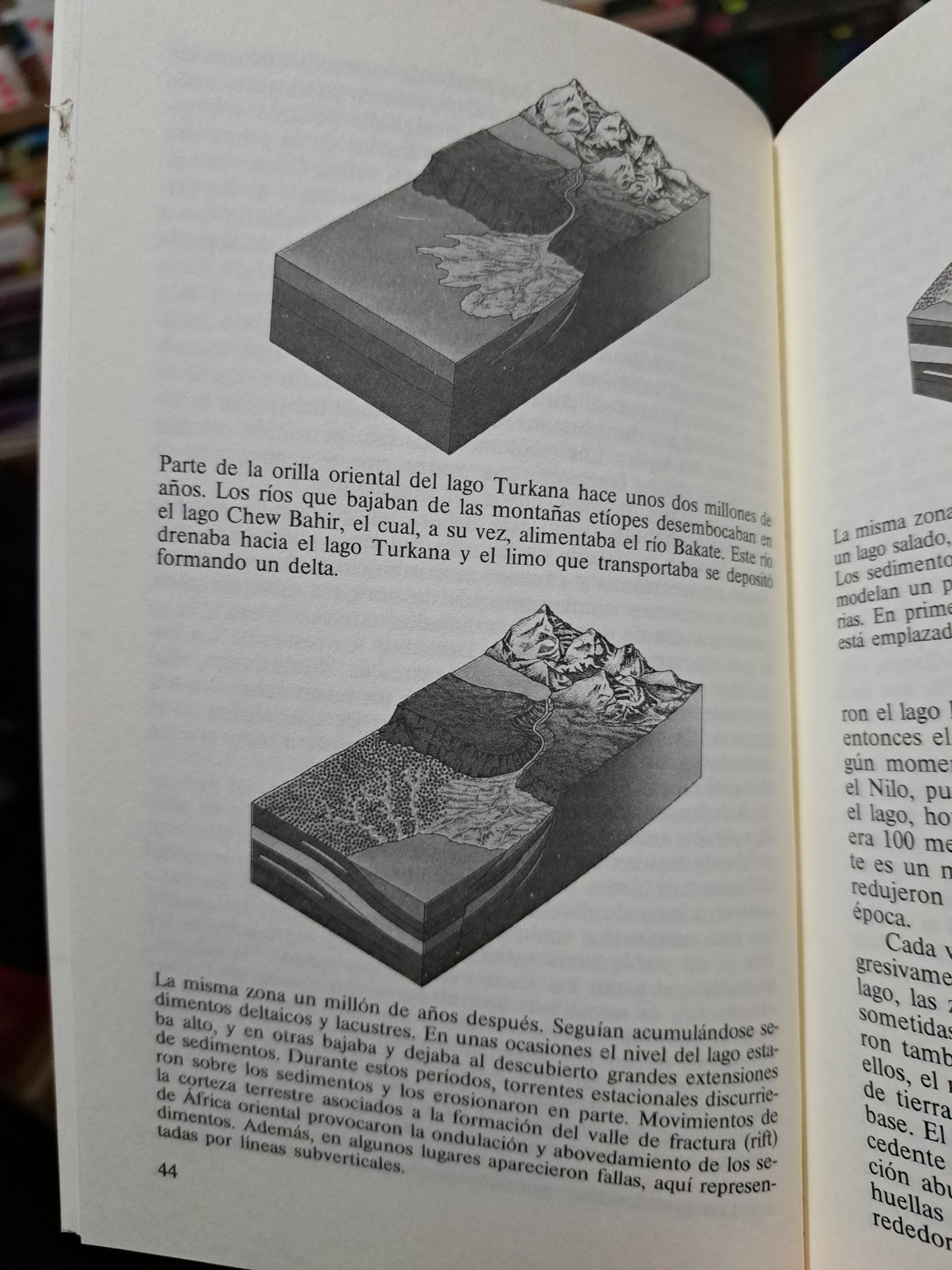 LA FORMACIÓN DE LA HUMANIDAD RICHARD LEAKEY USADO NOVELA LITERARIO 305