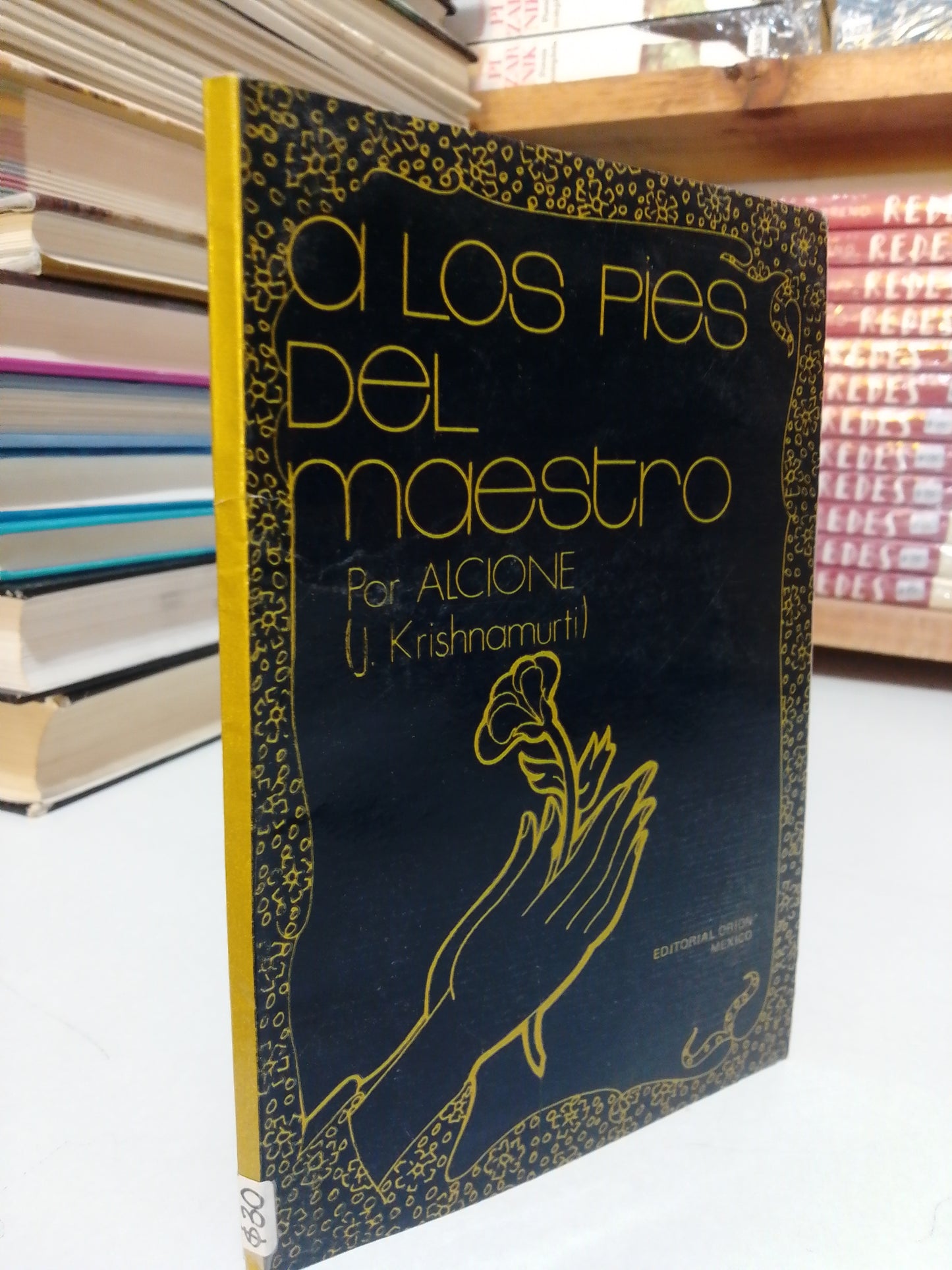 A LOS PIES DEL MAESTRO POR ALCIONE USADO SUP.PERSONAL JUÁREZ