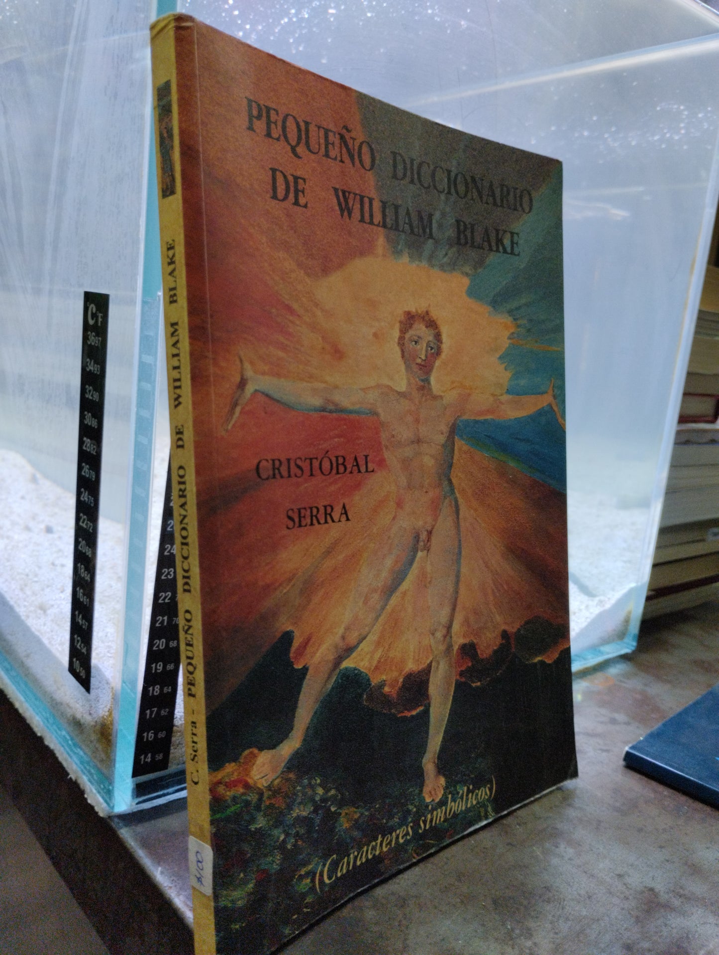 PEQUEÑO DICCIONARIO DE WILLIAM BLAKE POR CRISTIBAL SERRA USADO ESOTERISMO ALDAMA