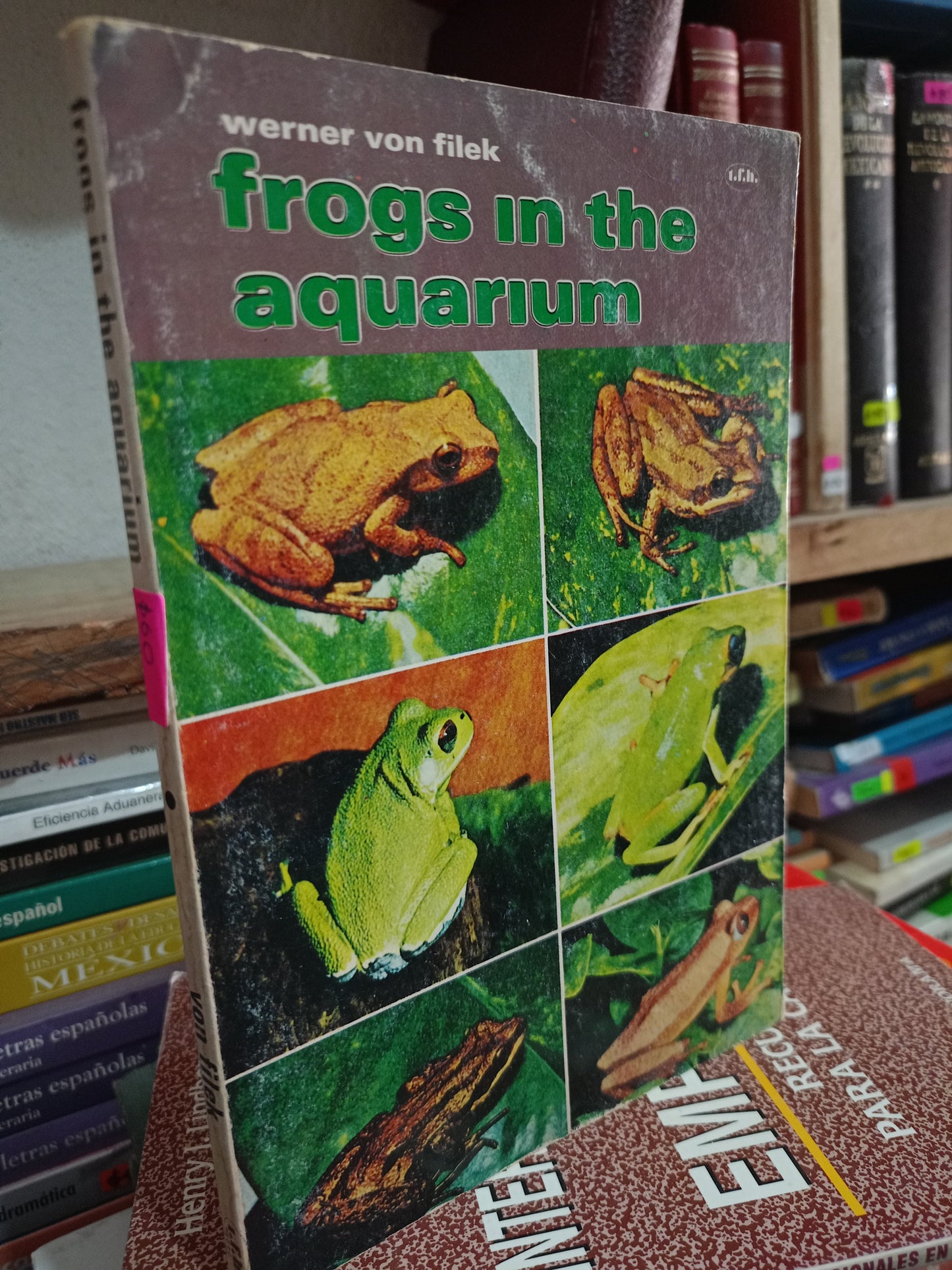 FROGS IN THE AQUARIUM USADO ANIMALES LITERARIO 305