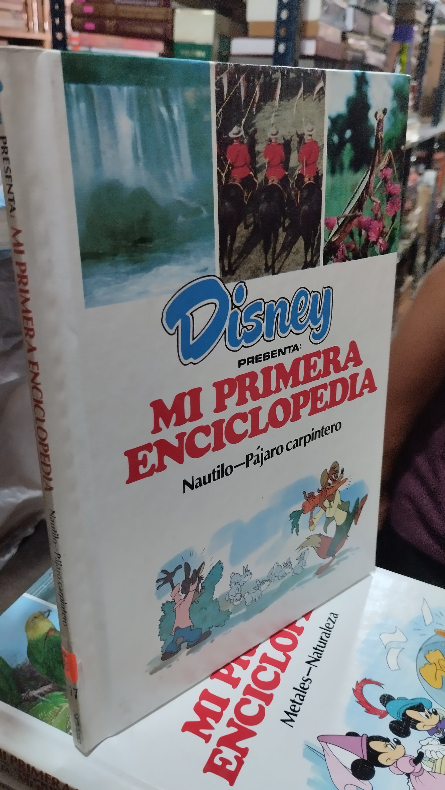 MI PRIMERA ENCICLOPEDIA NAUTILO PAJARO CARPINTERO LIBRO USADO INFANTIL ALDAMA