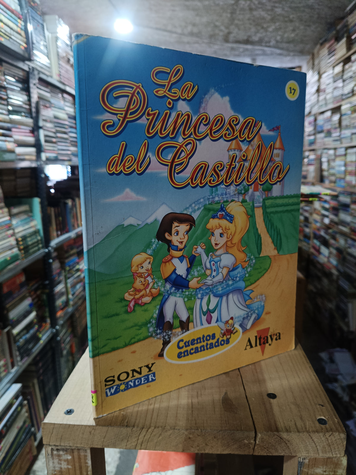 LA PRINCESA DEL CASTILLO USADO INFANTIL ALDAMA