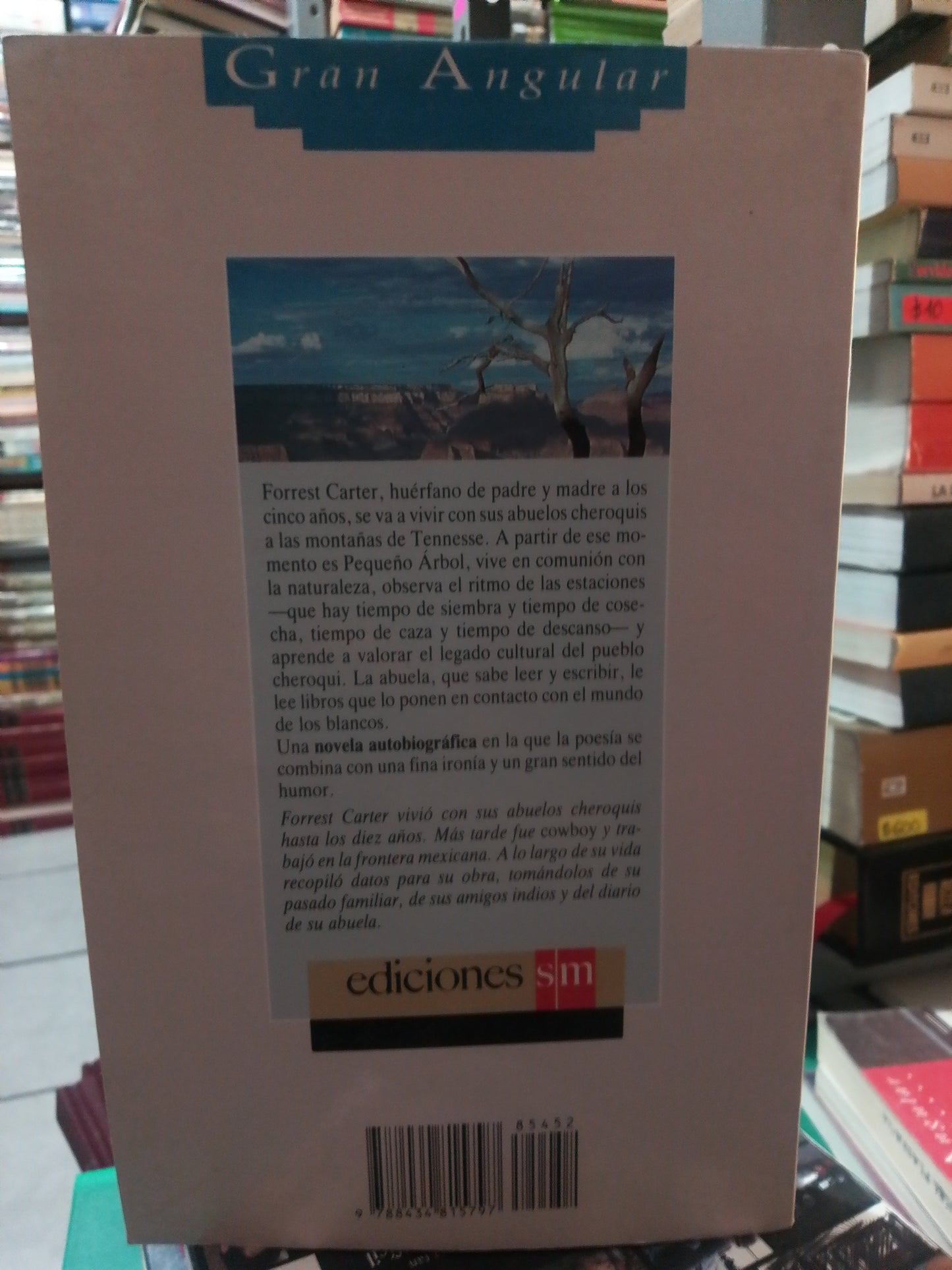 LA ESTRELLA DE LOS CHEROQUIS POR FORREST CARTER USADO NOVELA JUAREZ