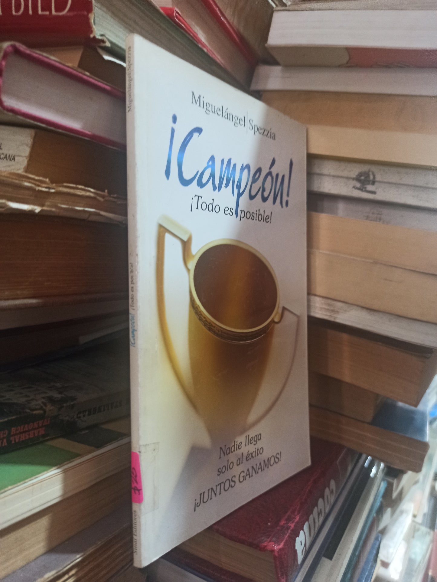 ¡CAMPEÓN! TODO ES POSIBLE POR MIGUELANGEL SPEZZIA USADO SUPERACIÓN PERSONAL ALDAMA