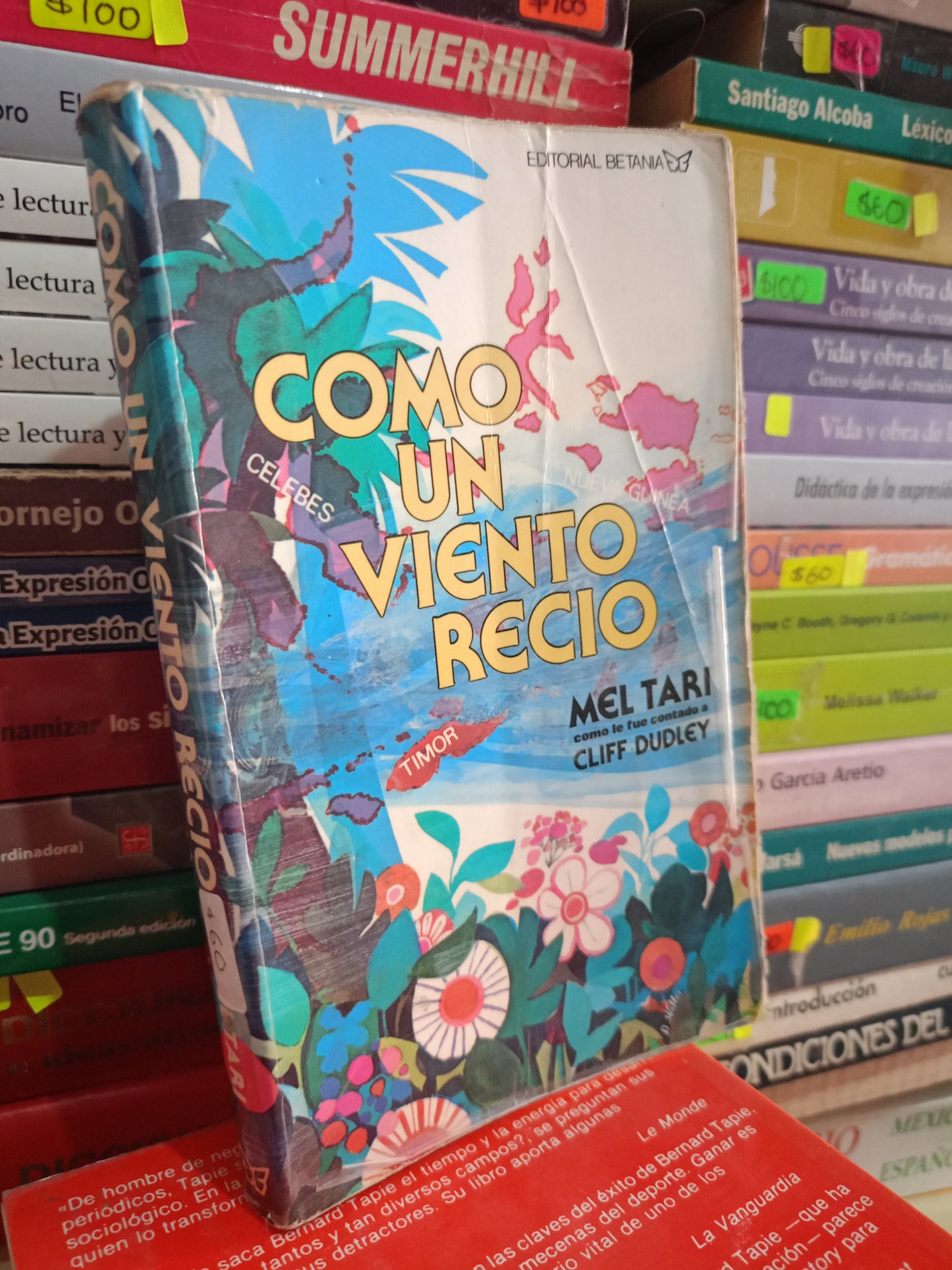 COMO UN VIENTO RECIO MEL TARI USADO RELIGION LITERARIO 305
