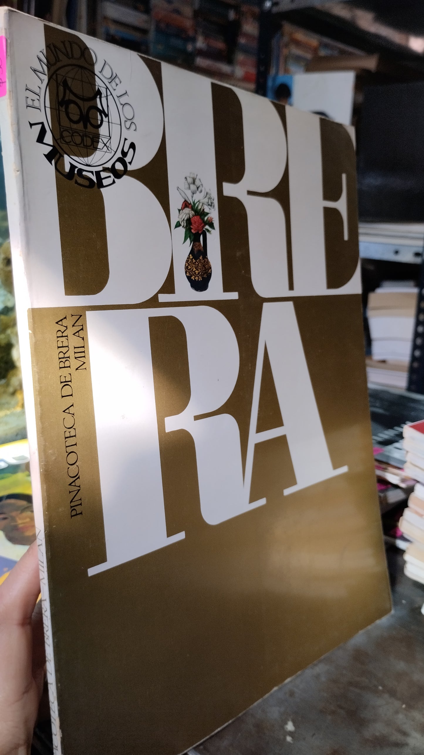 PINACOTECA DE BRERA MILAN LIBRO USADO ARTE ALDAMA