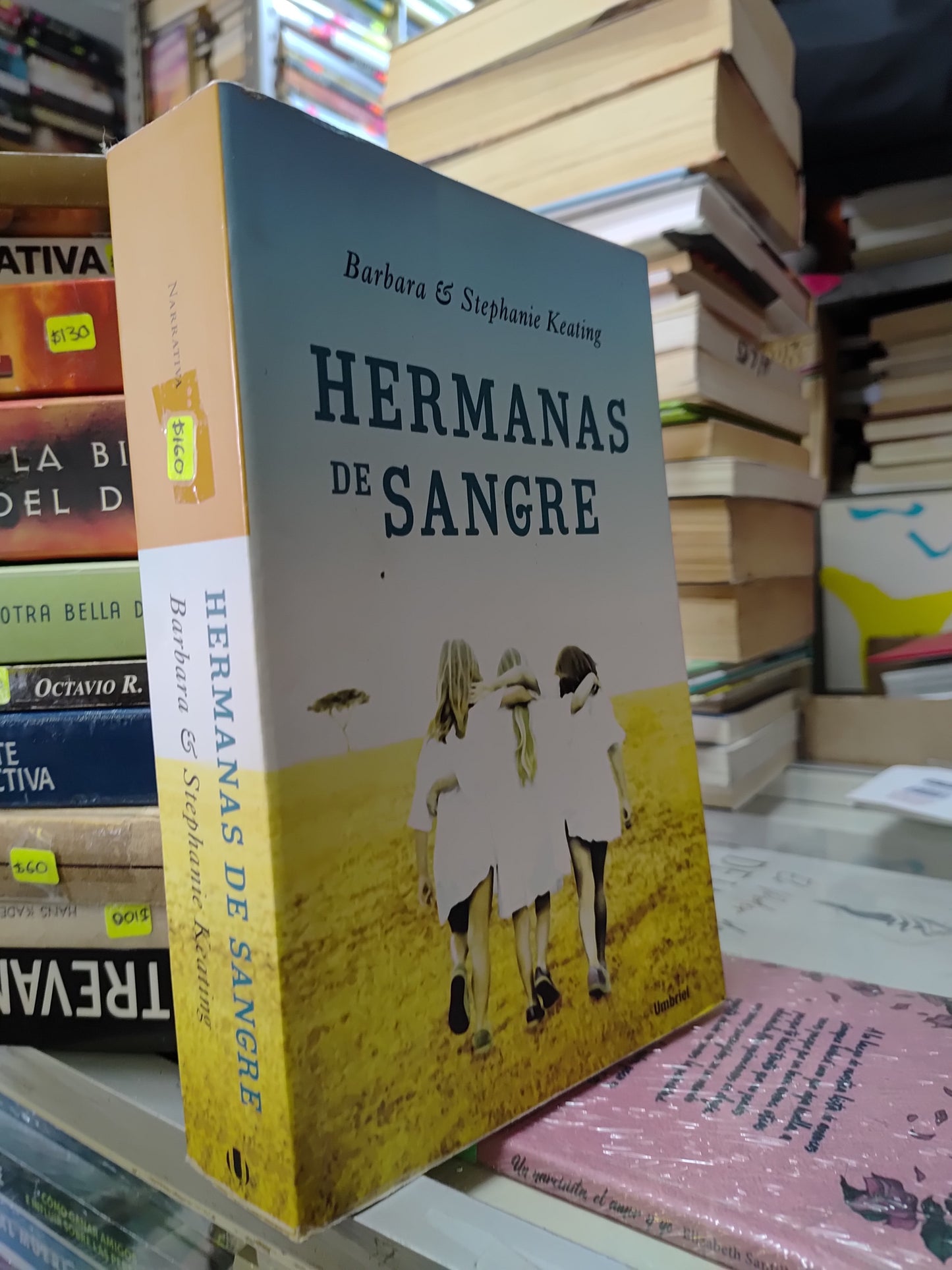 HERMANAS DE SANGRE POR BARBARA KEATING USADO NOVELAS JUAREZ 507