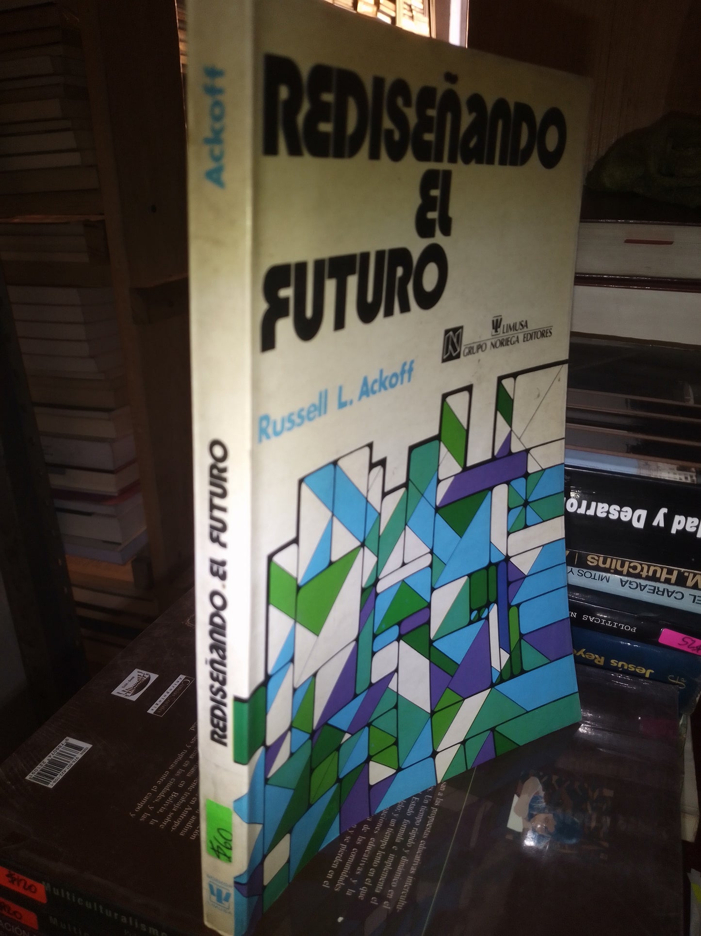REDISEÑANDO EL FUTURO POR RUSSELL L ACKOFG USADO SOCIOLOGÍA LITERARIO 207