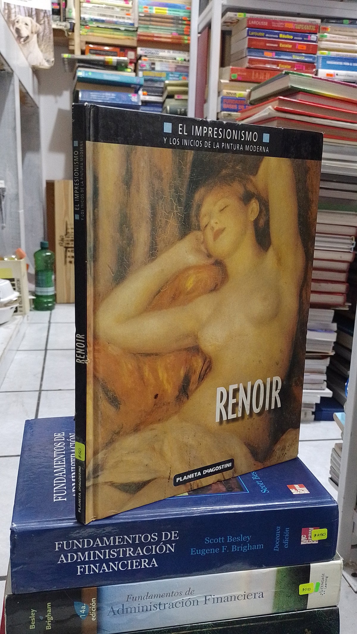 RENOIR POR MARIA TERESA BENEDETTI USADO ARTE JUAREZ 507