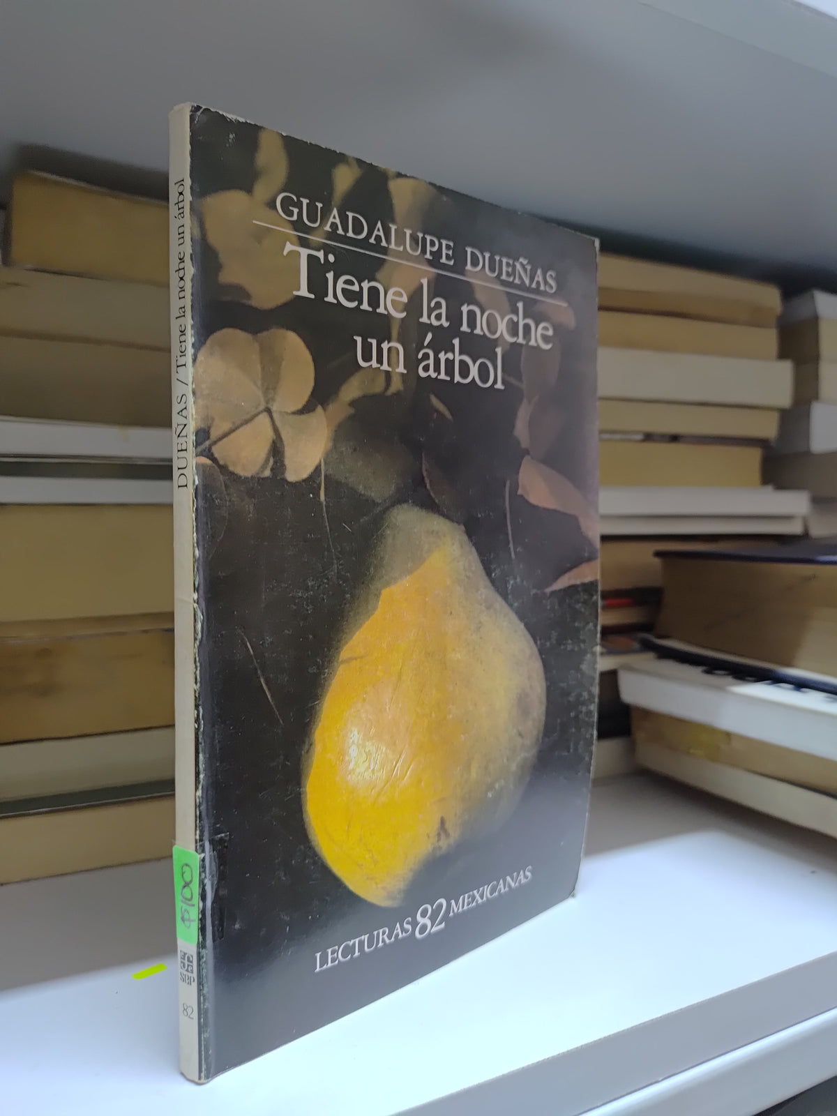 TIENE LA NOCHE UN ARBOL POR GUADALUPE DUEÑAS USADO NOVELAS JUAREZ 507
