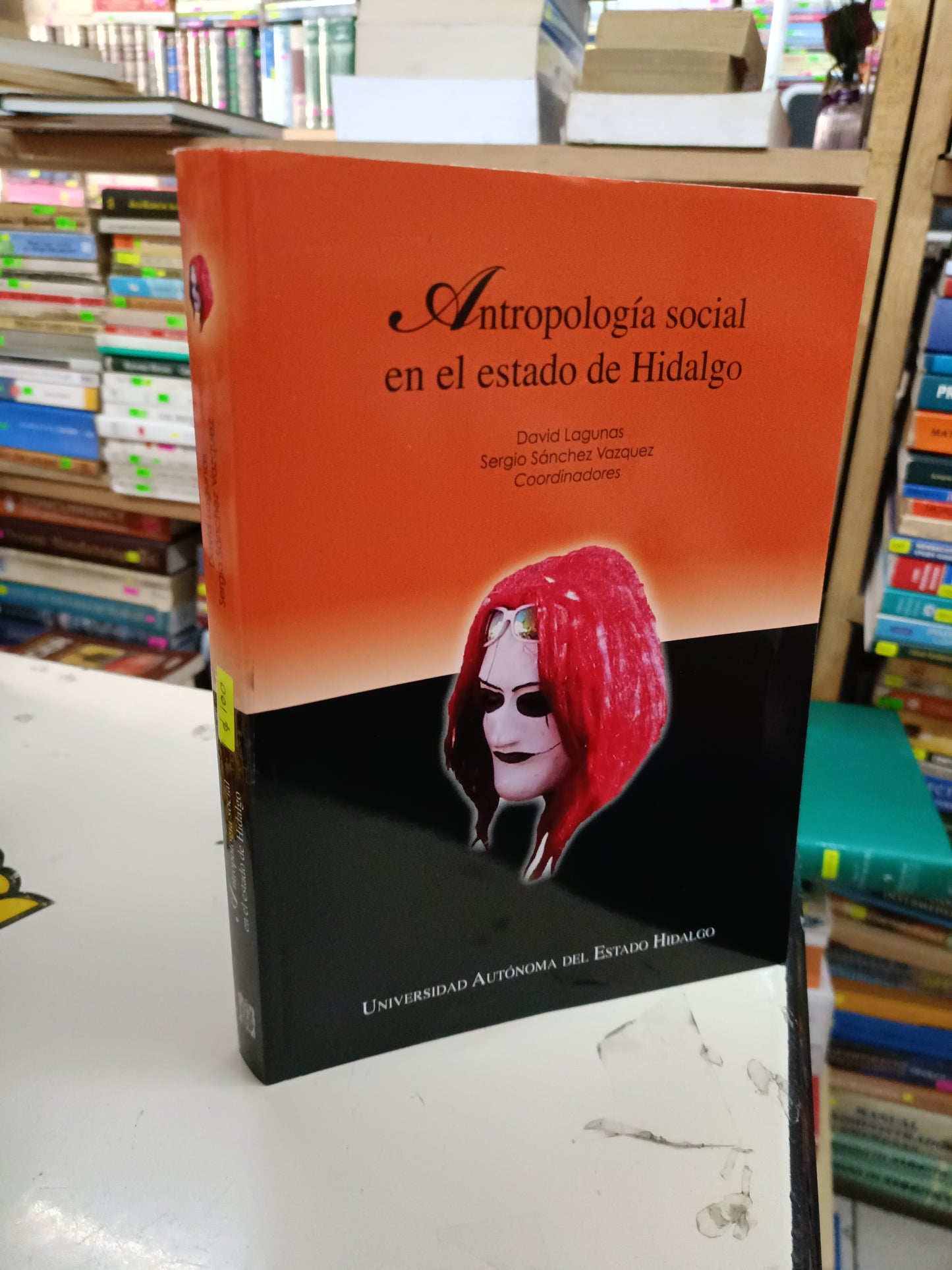 ANTROPOLOGÍA SOCIAL EN EL ESTADO DE HIDALGO POR DAVID LAGUNAS Y SERGIO SÁNCHEZ VÁZQUEZ USADO SOCIOLOGÍA LITERARIO 207