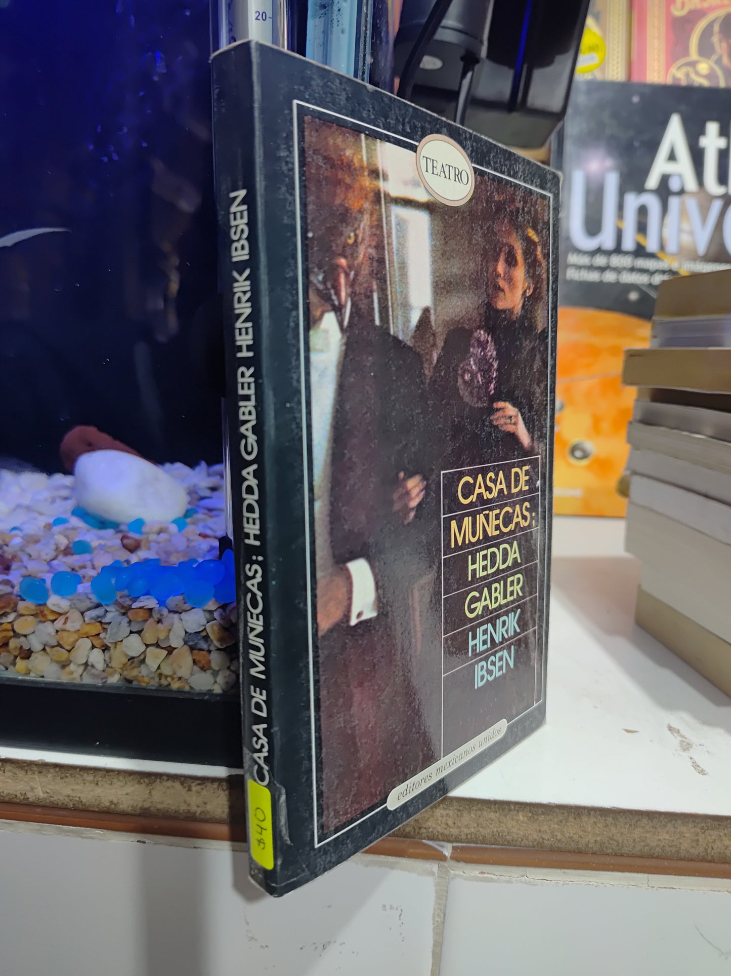 CASA DE MUÑECAS POR HEDA GABLER USADO NOVELAS JUAREZ