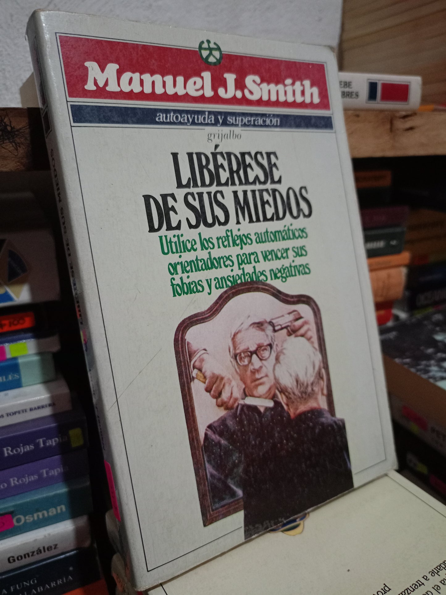 LIBERESE DE SUS MIEDOS POR MANUEL J.SMITH USADO SMPERSONAL LITERARIO 305