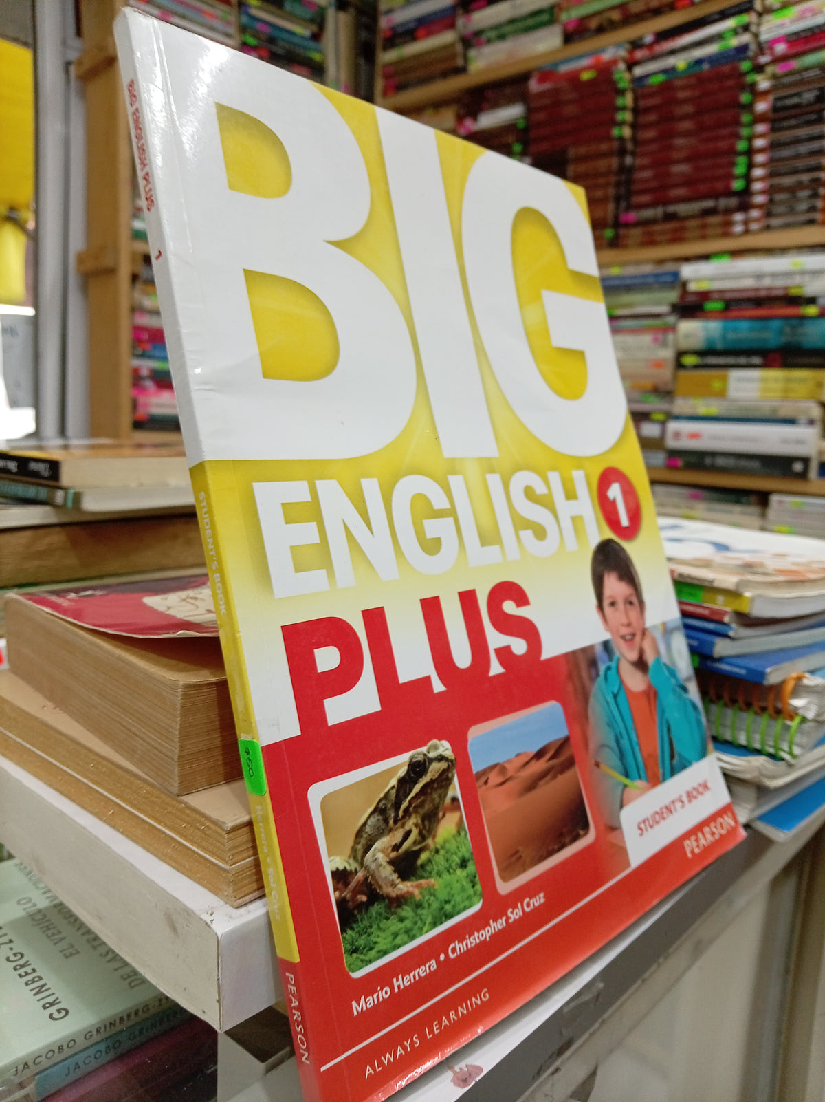 BIG ENGLISH PLUS USADO IDIOMAS JUAREZ 507