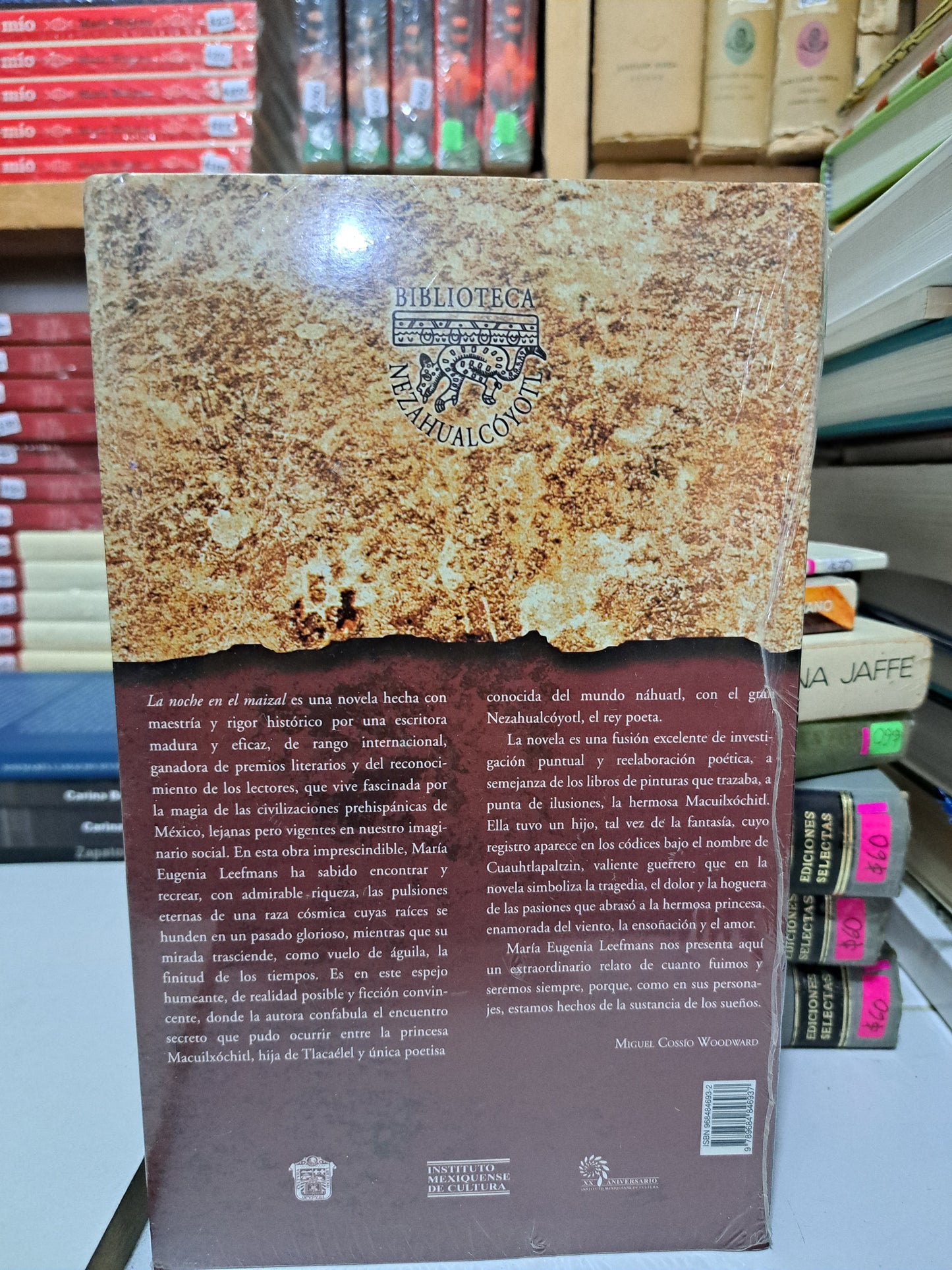 LA NOCHE EN EL MAIZAL MARÍA EUGENIA LEEFMANS USADO NOVELA JUÁREZ