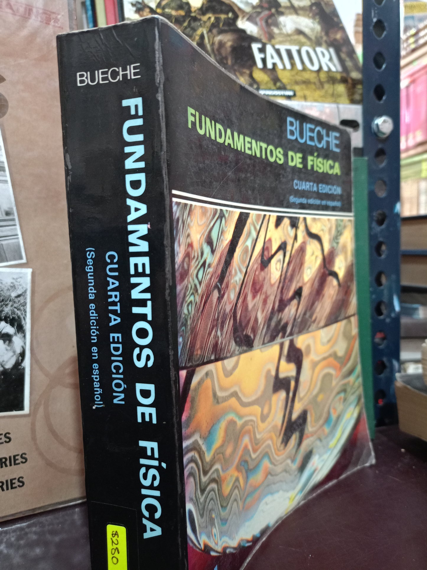 FUNDAMENTOS DE FISICA POR BUECHE USADO FISICA LITERARIO 305