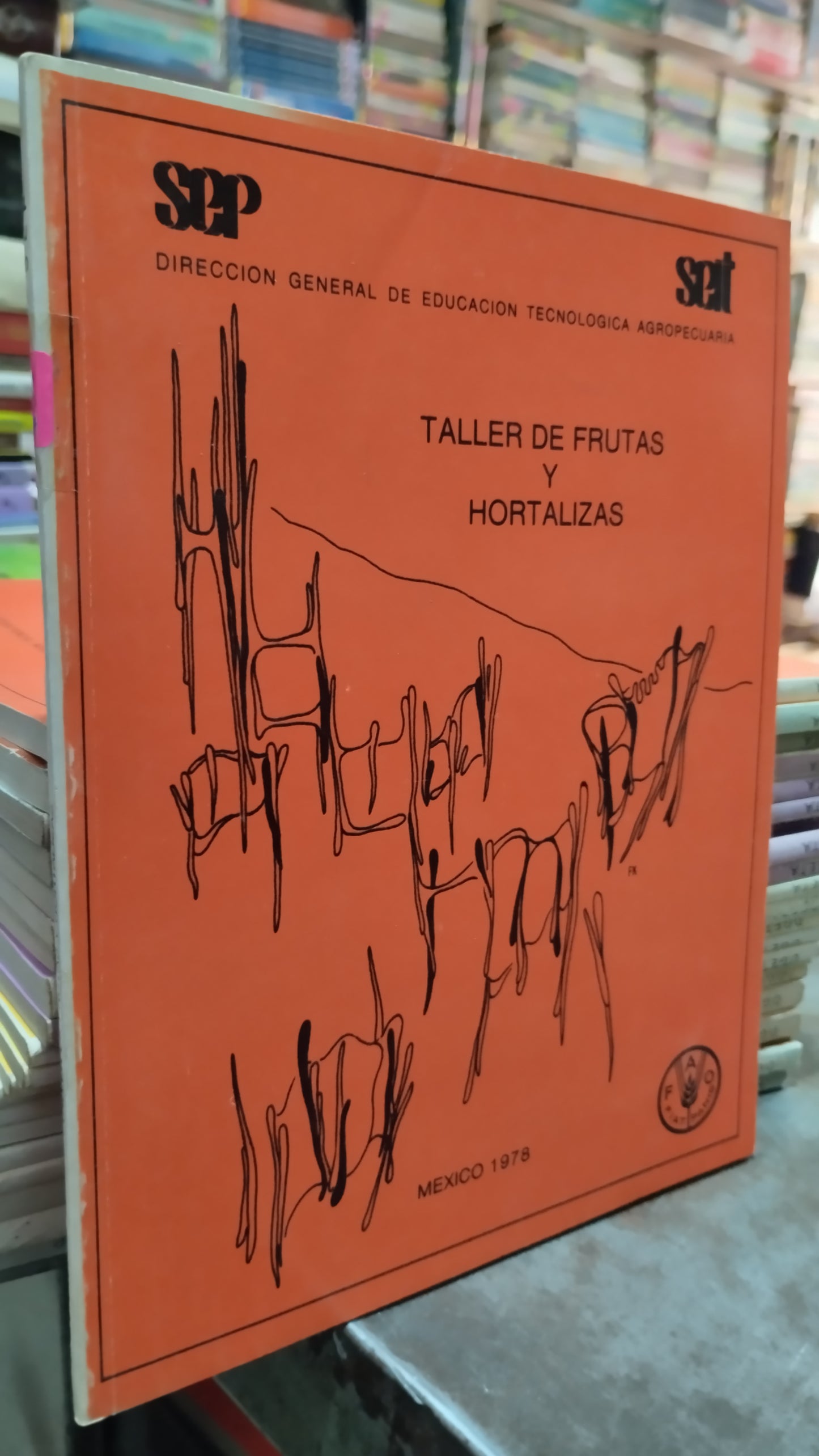 TALLER DE FRUTAS Y HORTALIZAS LIBRO USADO AGRICULTURA ALDAMA