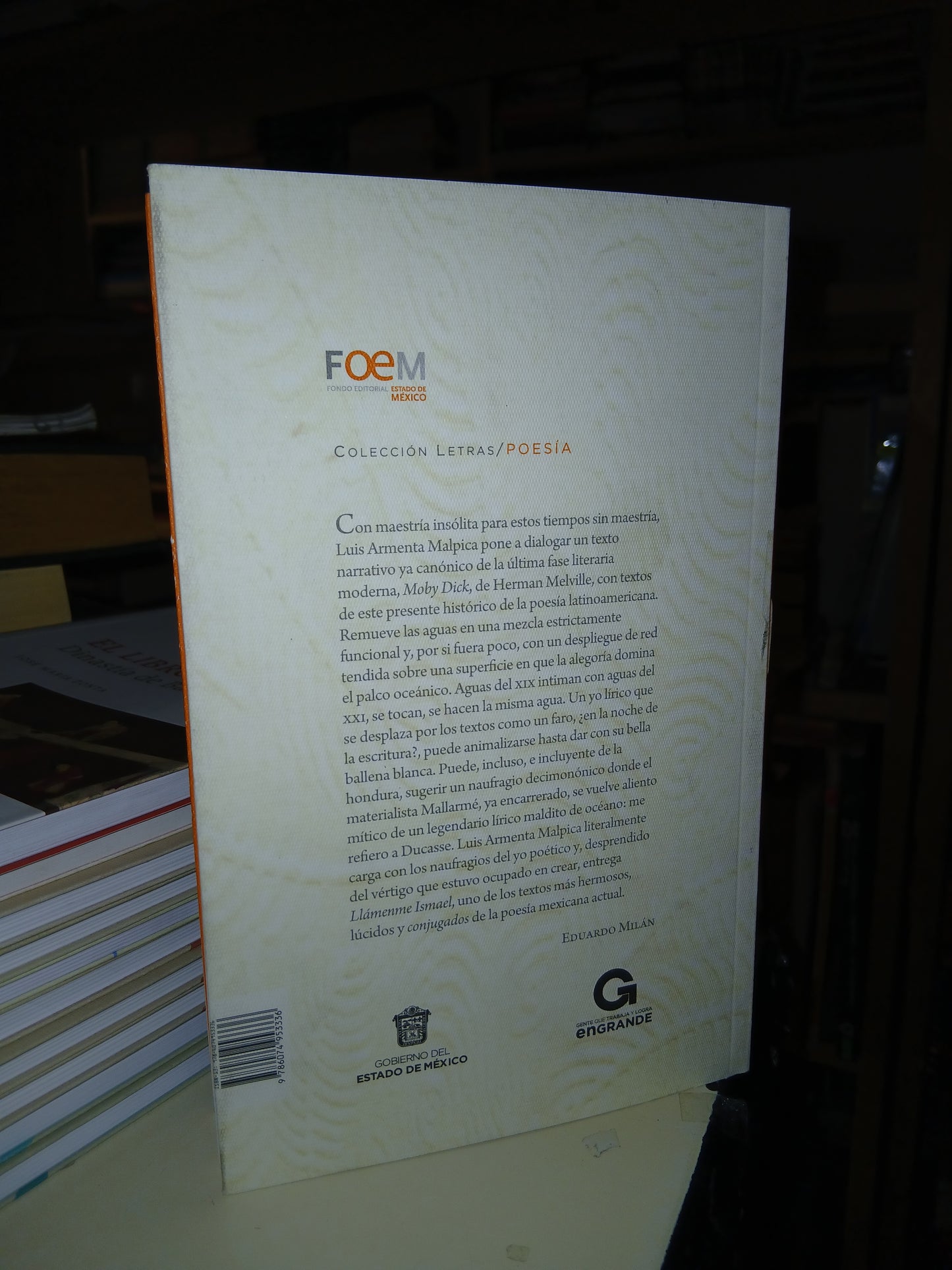 LLÁMENME ISMAEL POR LUIS ARMANDO MALPICA USADO POESÍA LITERARIO 207