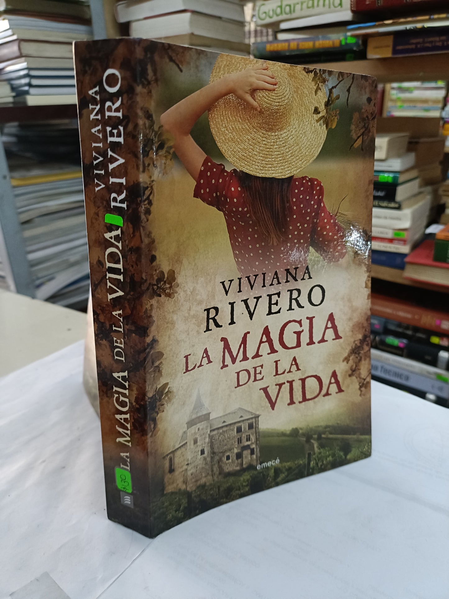 LA MAGIA DE LA VIDA POR VIVIANA RIVERO USADO NOVELA LITERARIO 207