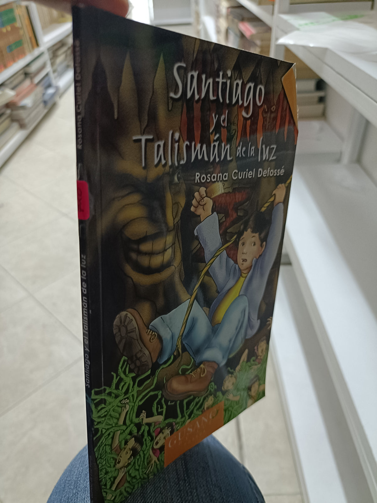 SANTIAGO Y RL TALISMAN DE LA LUZ POR ROSANA CURUEL DEFOSSE USADO INFANTIL JUAREZ 515