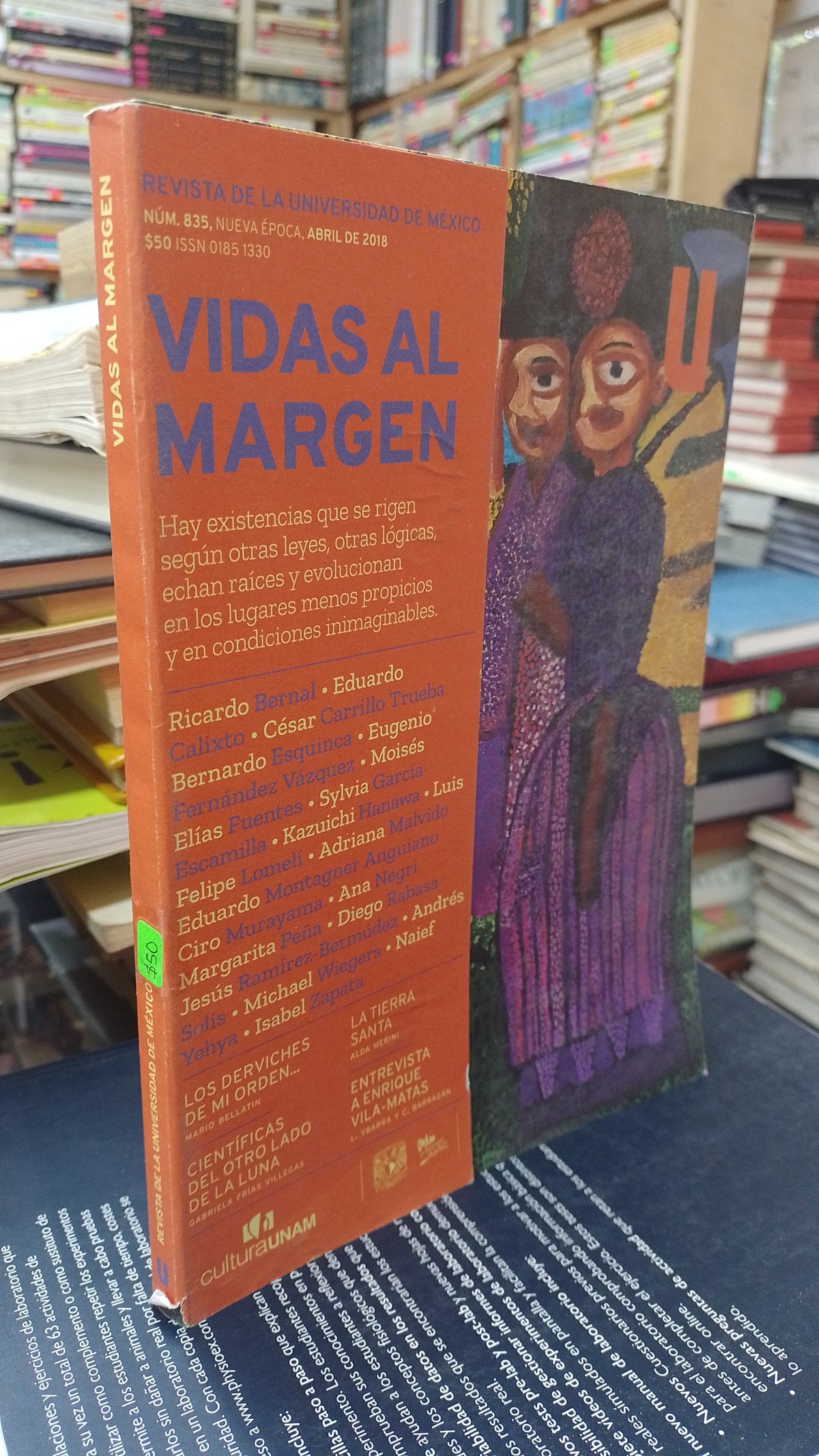 VIDAS AL MARGEN POR VARIOS AUTORES USADO SOCIOLOGIA JUAREZ 507
