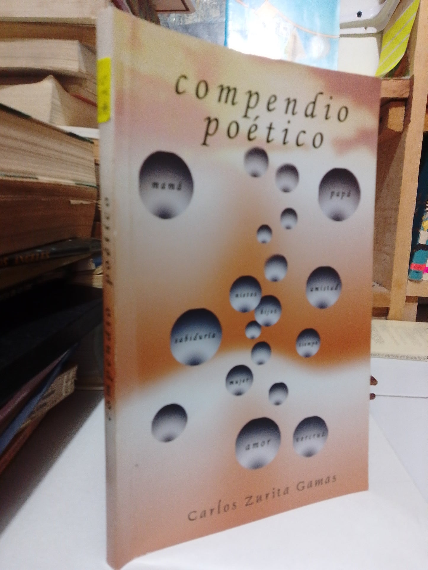 COMPENDIO POETICO POR CARLOS ZURITA GAMAS USADO POESIA JUAREZ