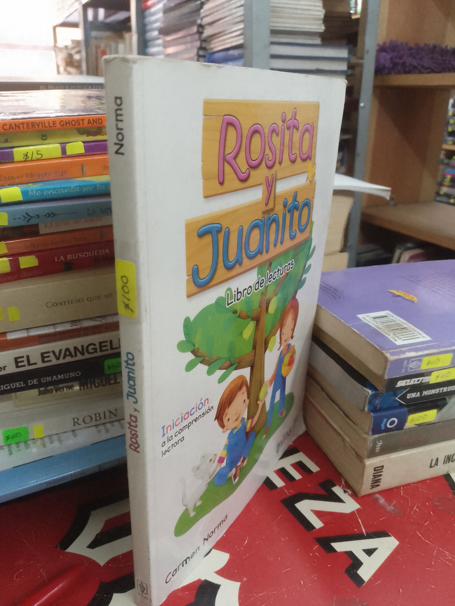ROSITA Y JUANITO POR CARMEN NORMA USADO INFANTIL LITERARIO 207