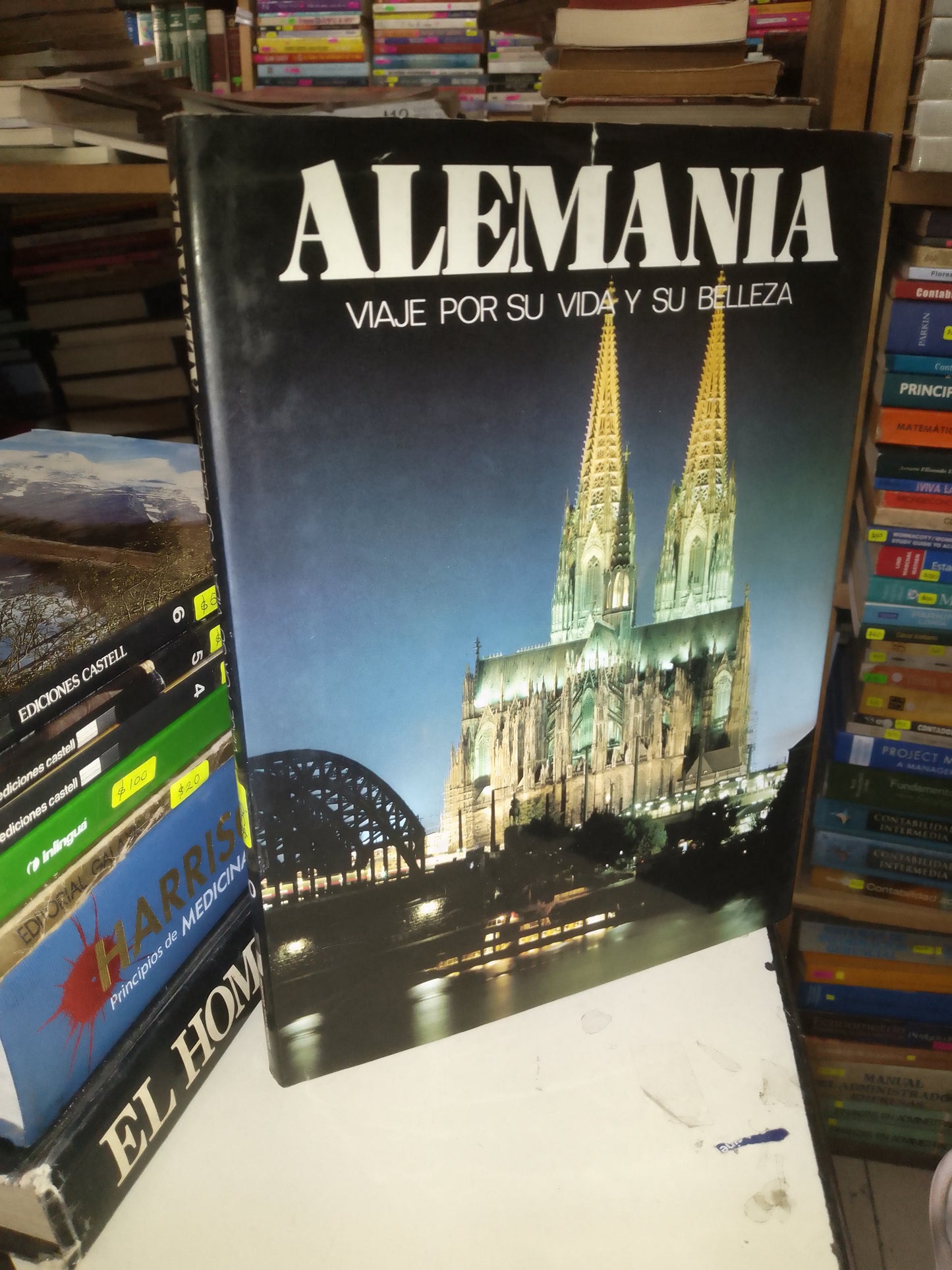 VIAJE POR SU VIDA Y SU BELLEZA: ALEMANIA USADO TURISMO LITERARIO 207