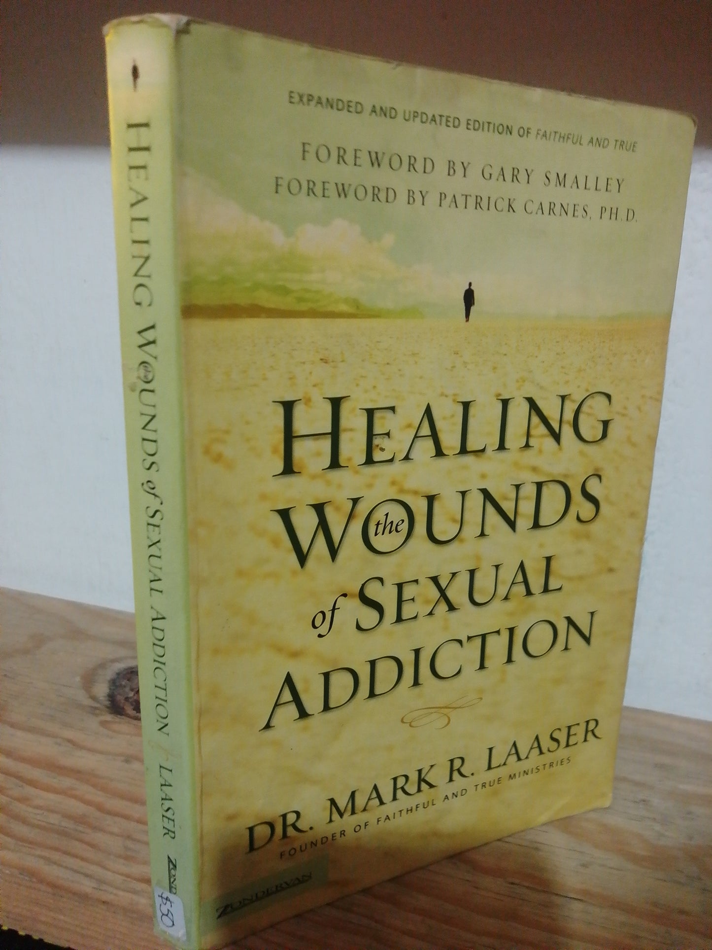 HEALING WOUNDS OF SEXUAL ADDICTION POR DR. MARK R. LASSER USADO IDIOMAS JUAREZ