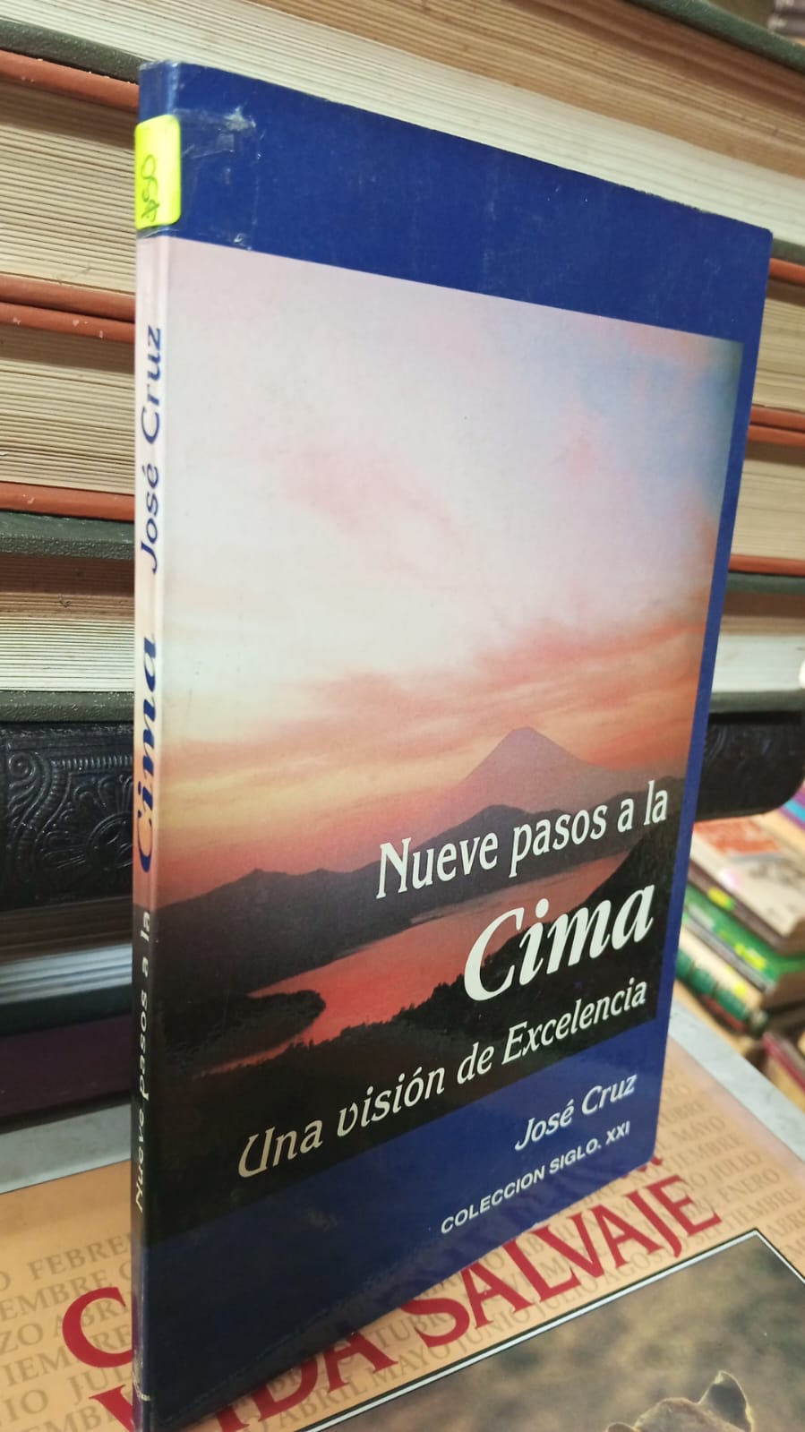 NUEVE PASOS A LA CIMA JOSE CRUZ USADO RELIGION JUAREZ 507