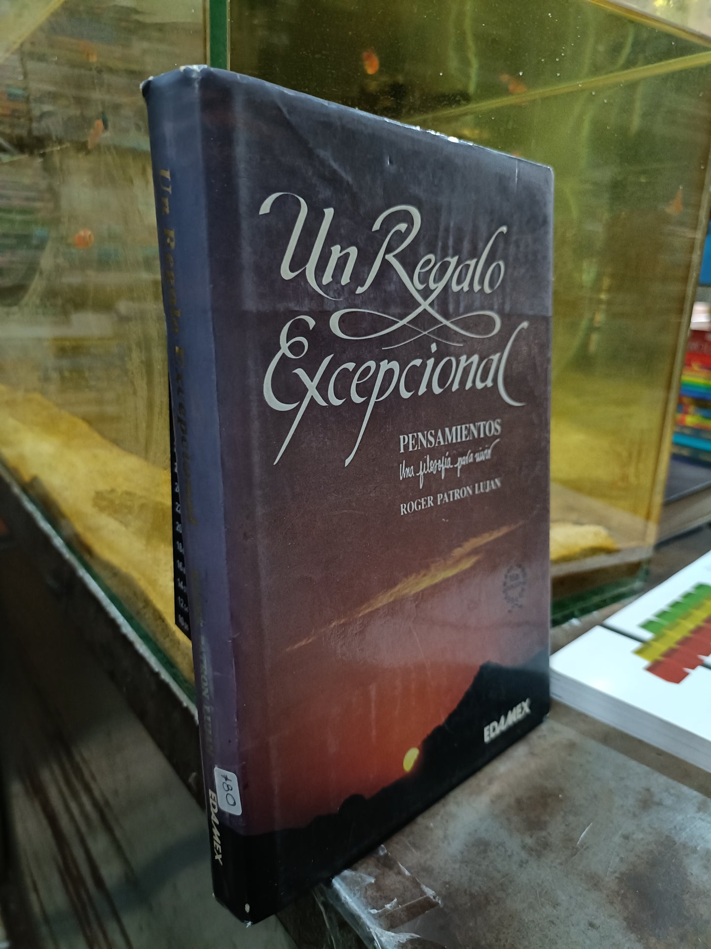 UN REGALO EXCEPCIONAL PENSAMIENTOS POR ROGER PATRON LUJAN USADO SUPERACION PERSONAL ALDAMA