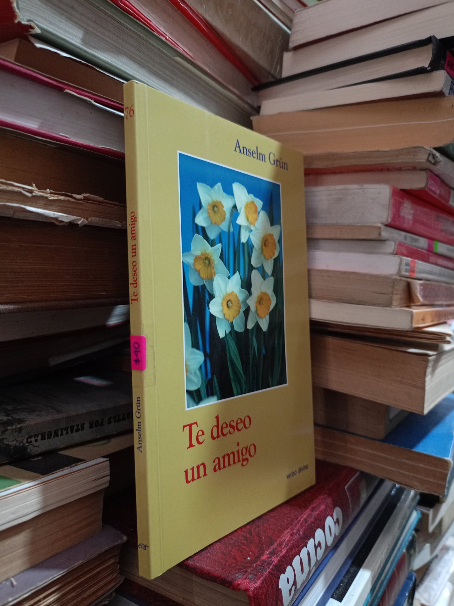 TE DESEO UN AMIGO POR ANSLEM GRÜN USADO SUPERACIÓN PERSONAL ALDAMA