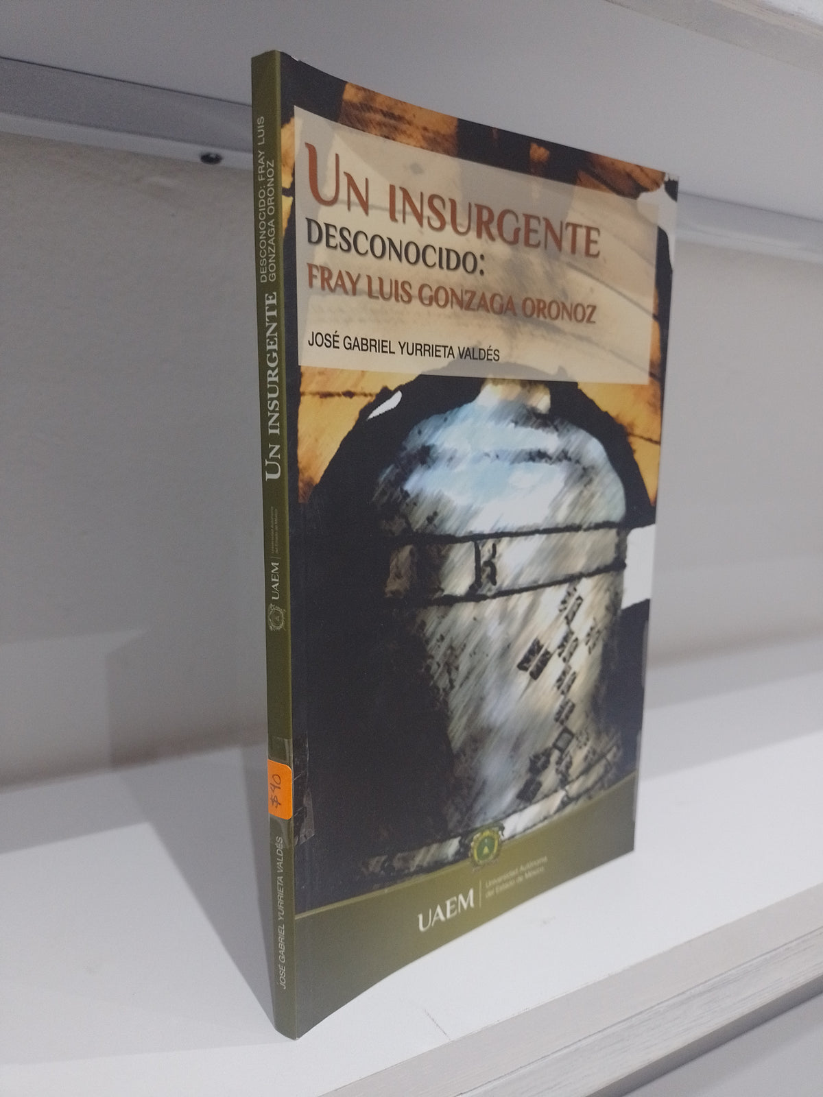 UN INSURGENTE DESCONOCIDO FRAY LUIS GONZAGA ORONOZ POR JOSE GABRIEL YURRIETA VALDEZ USADO NOVELA JUAREZ 515
