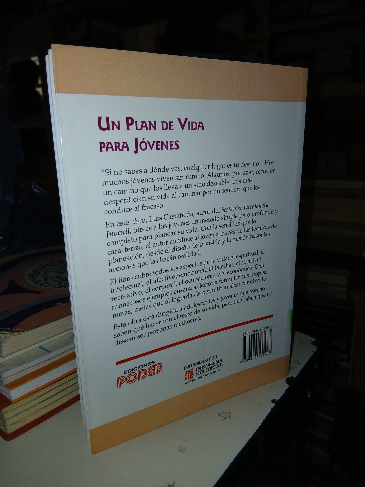 UN PLAN DE VIDA PARA JÓVENES POR LUIS CASTAÑEDA USADO SUPERACIÓN PERSONAL LITERARIO 207