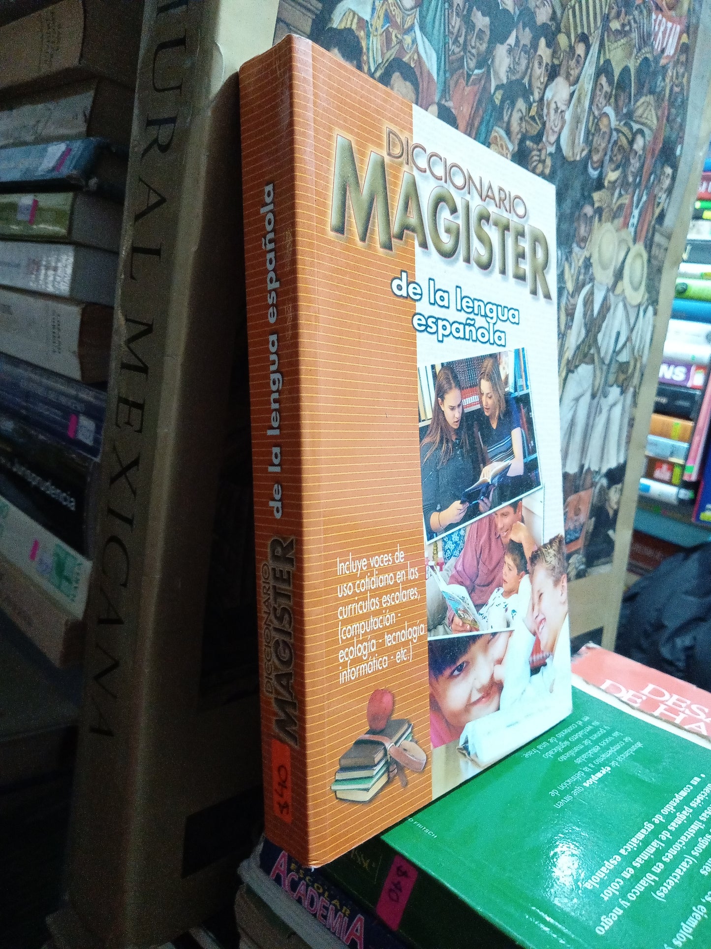 DICCIONARIO MAGISTER DE LA LENGUA ESPAÑOLA USADO EDUCACION JUAREZ